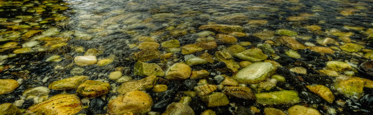 Polarising filter