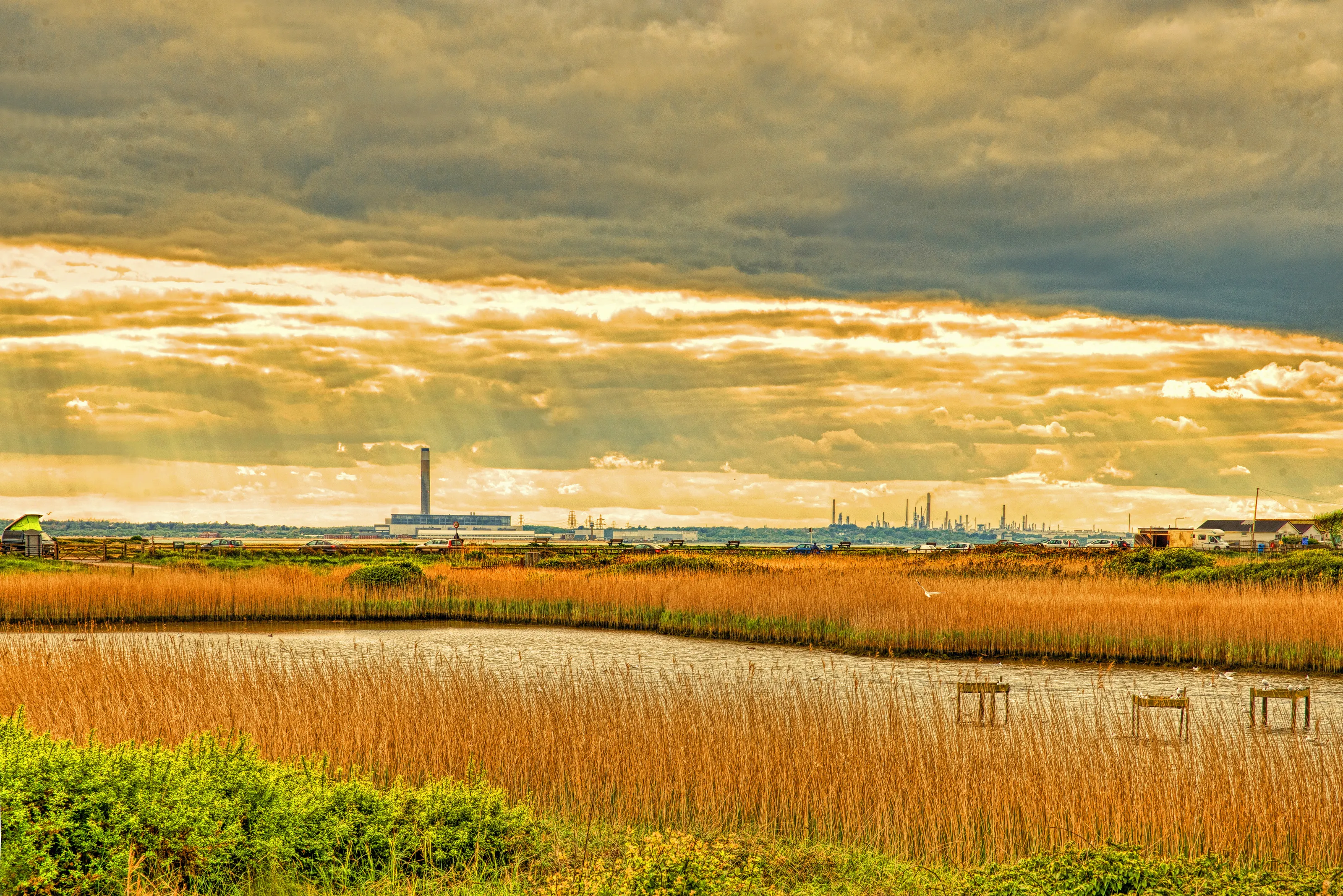 Saltings, Mudflats and Marshes