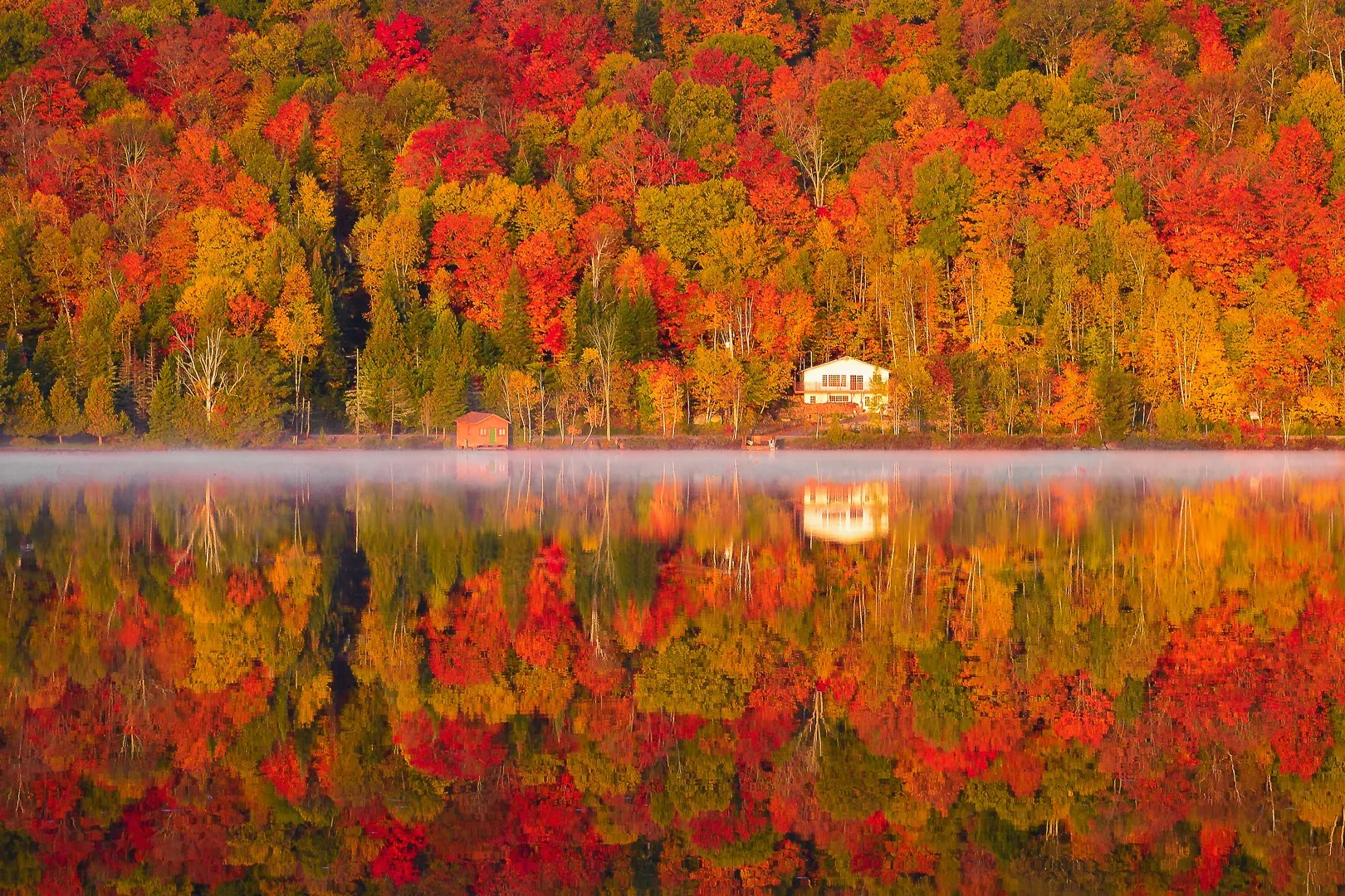 Autumn