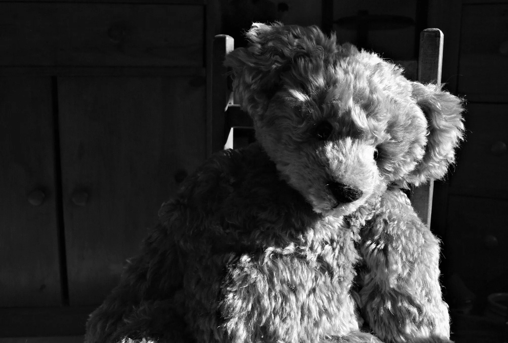 Teddy Bears