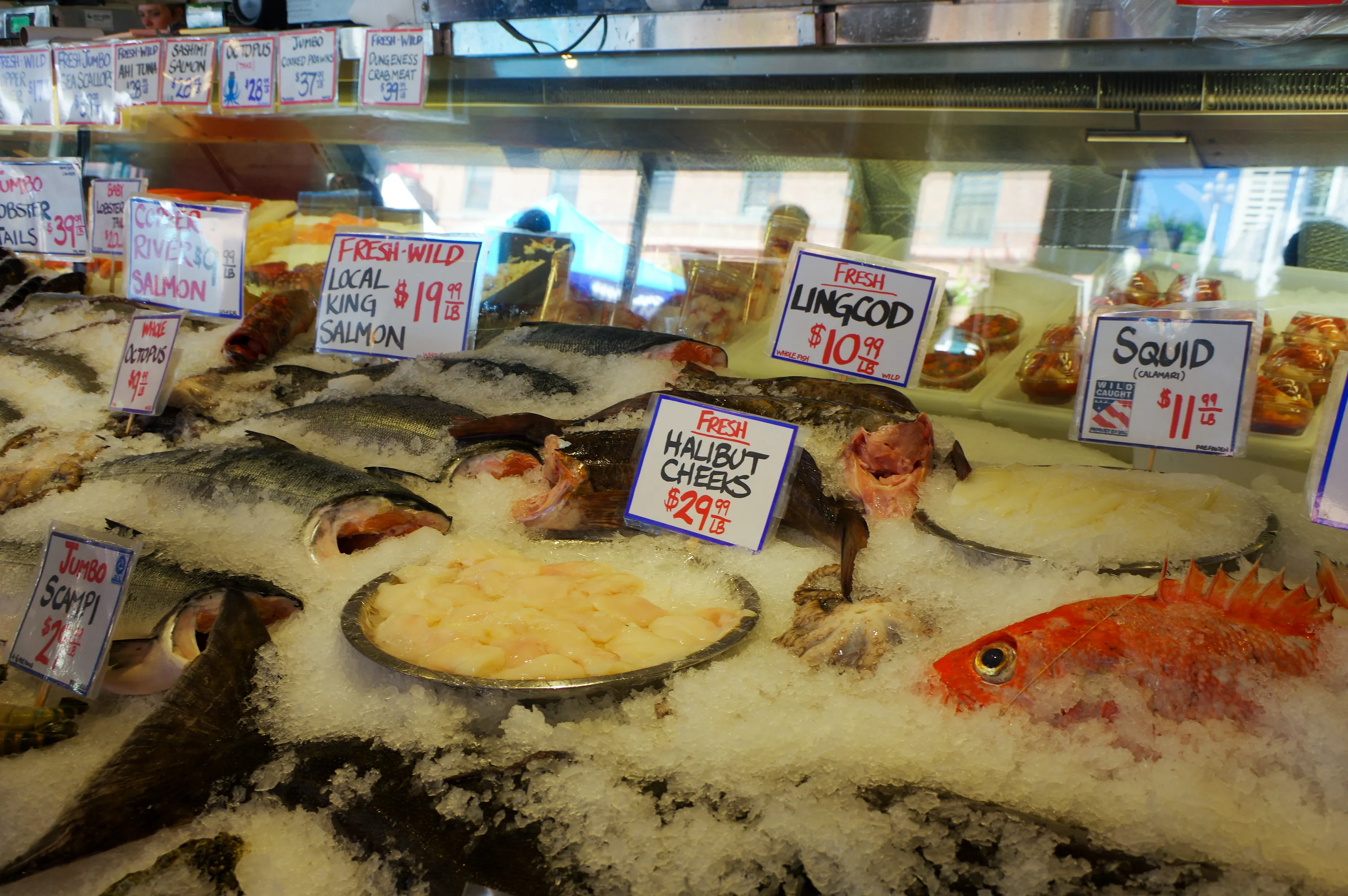 Fresh Fish for Sale