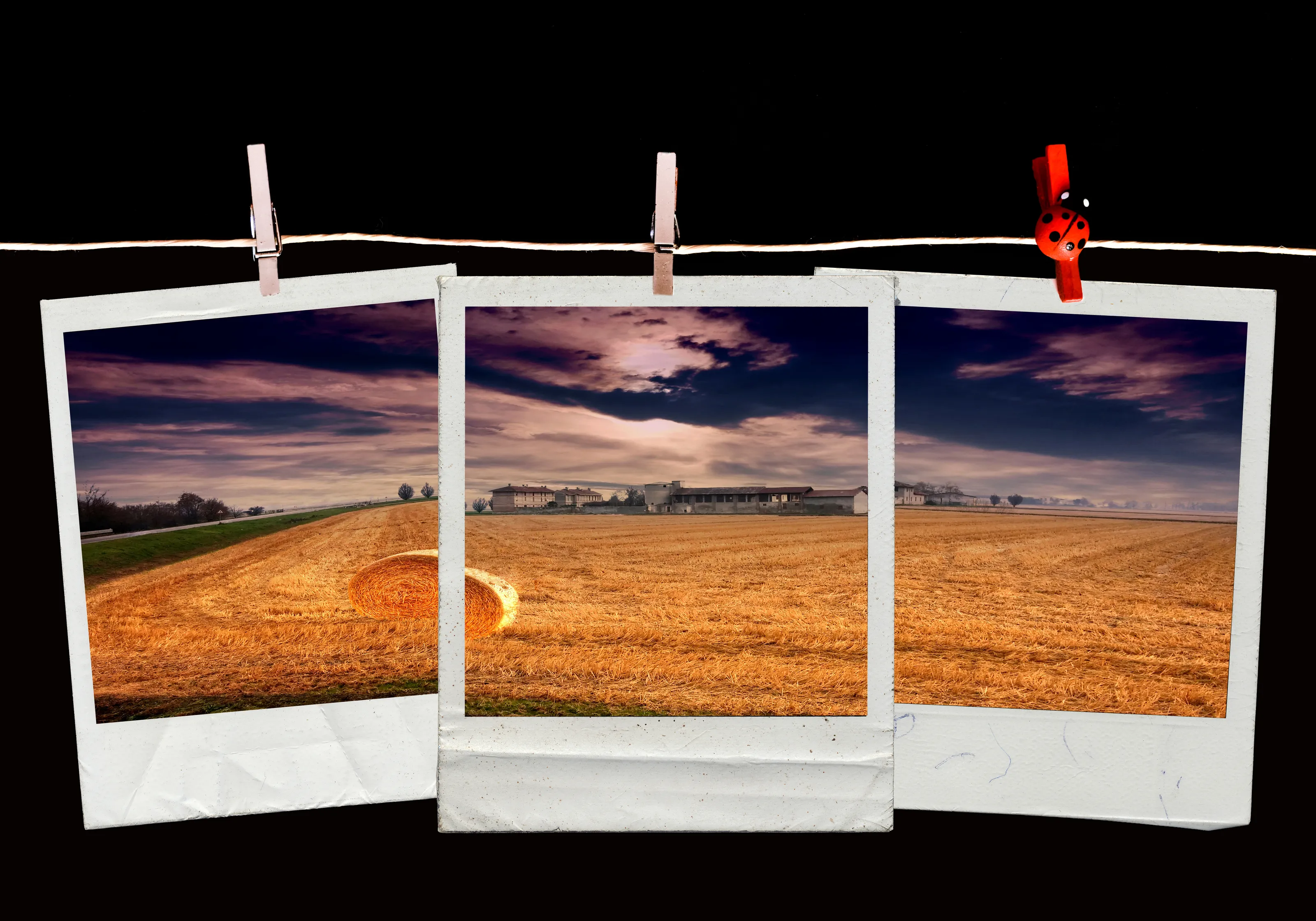 Polaroid or Retro Style Imagery