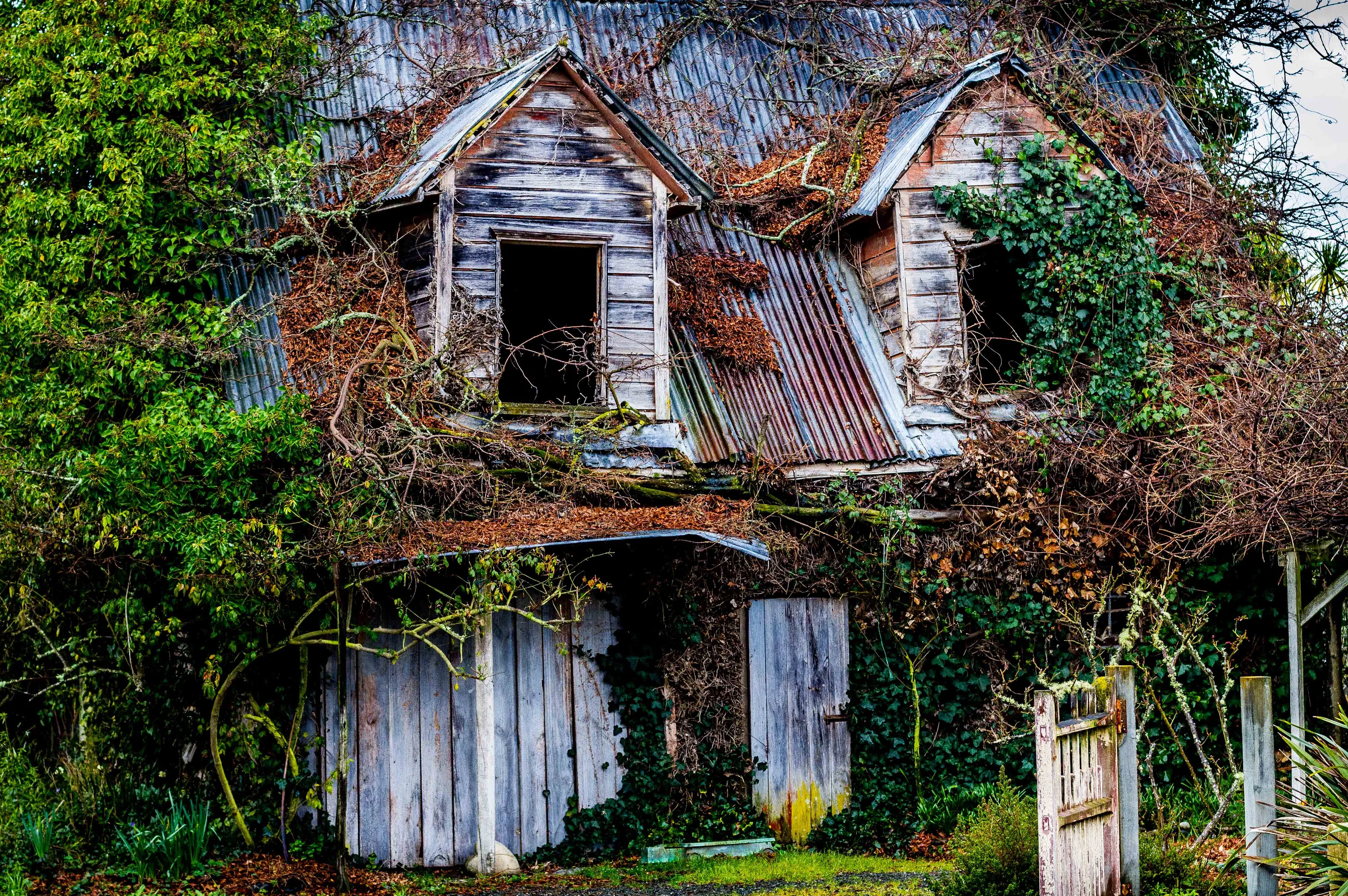 Overgrown