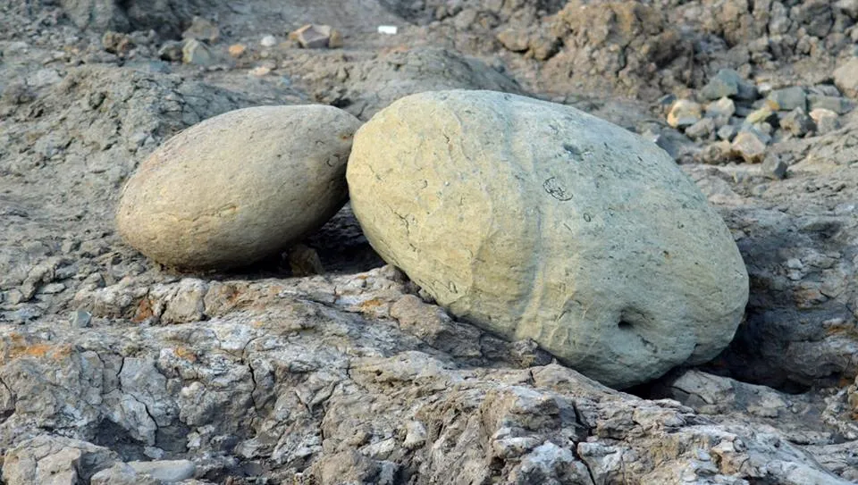 Sticks and stones.....