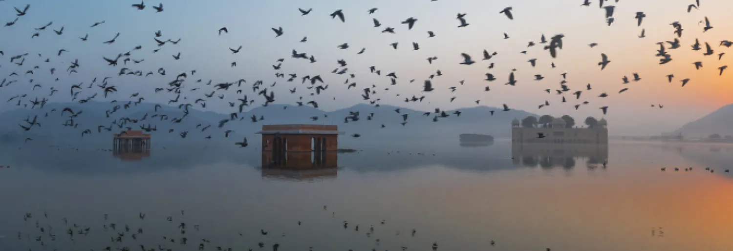 Travellers' Tales