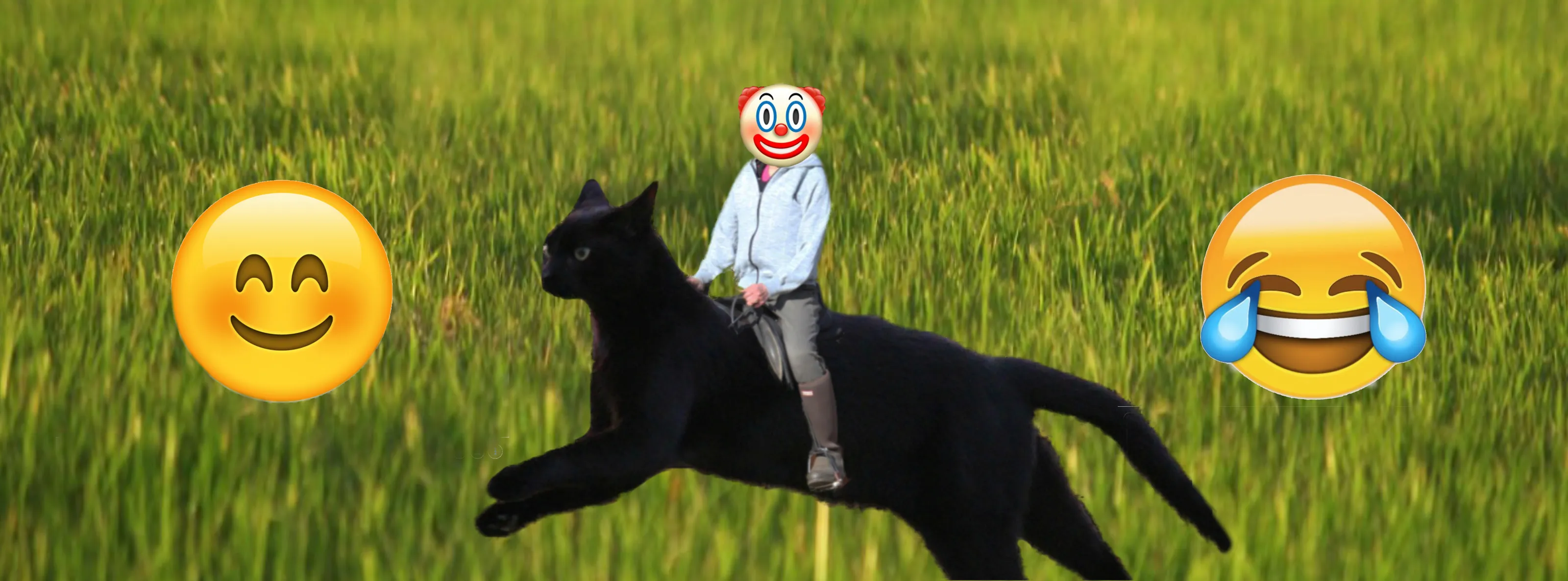 Make us smile or laugh