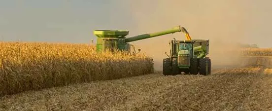 Harvest time