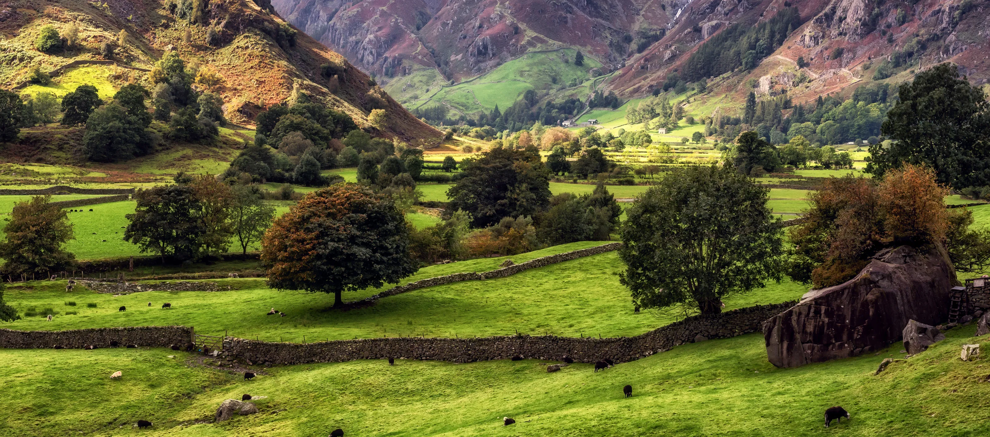 No sky - Rural landscapes