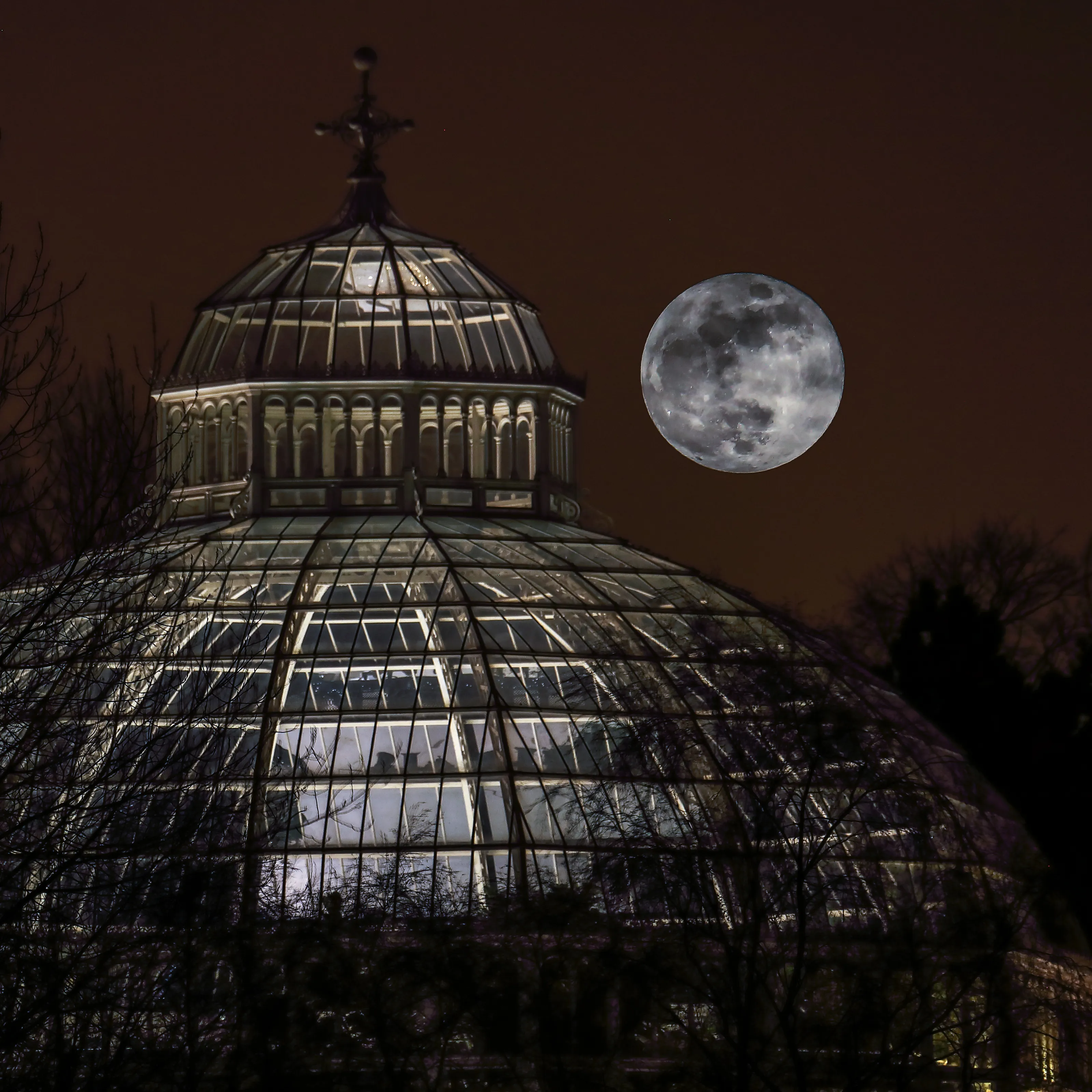 The moon