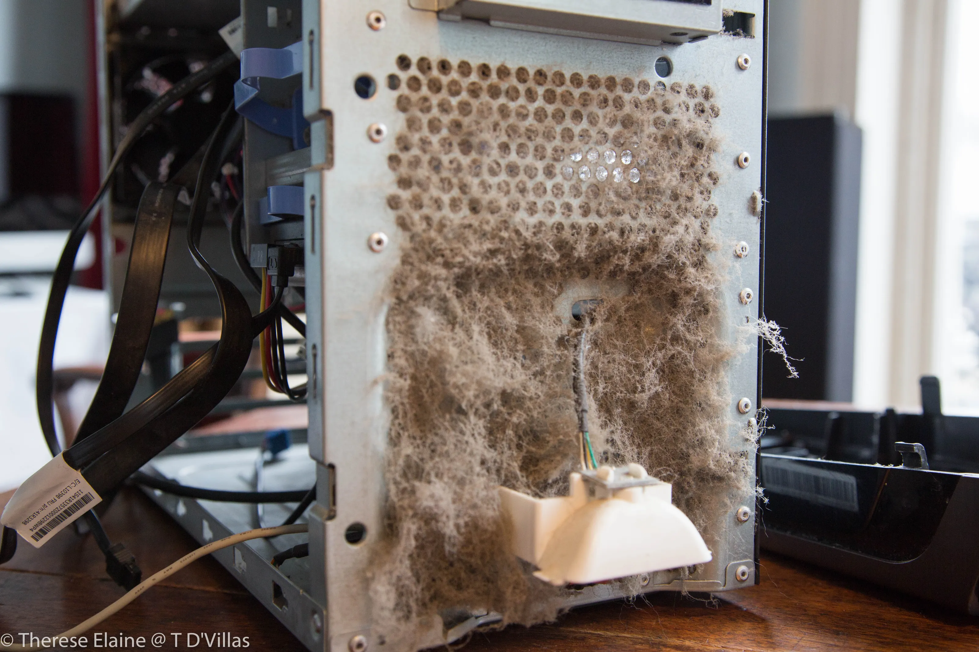 Dust and detritus