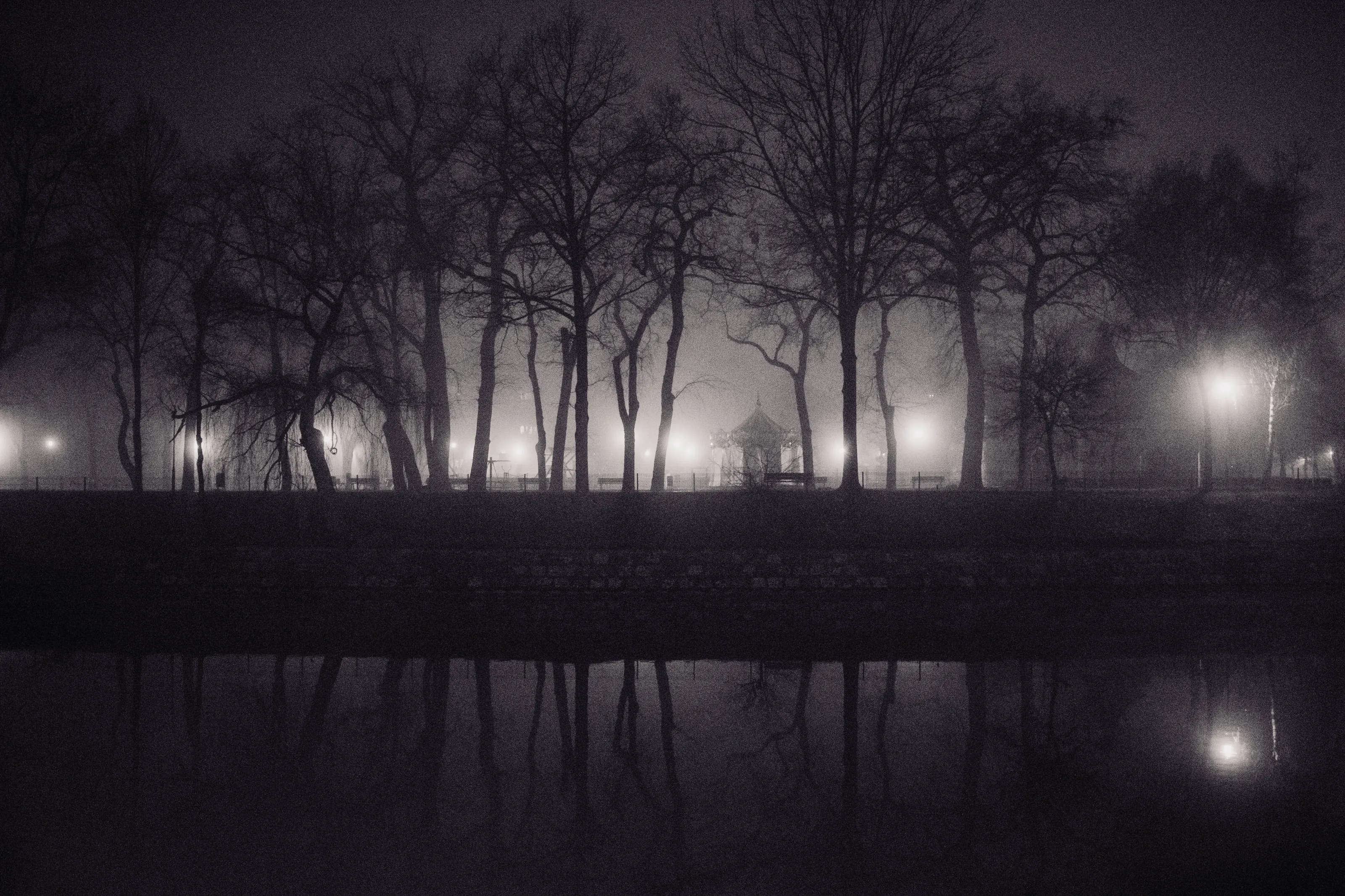 The Fog