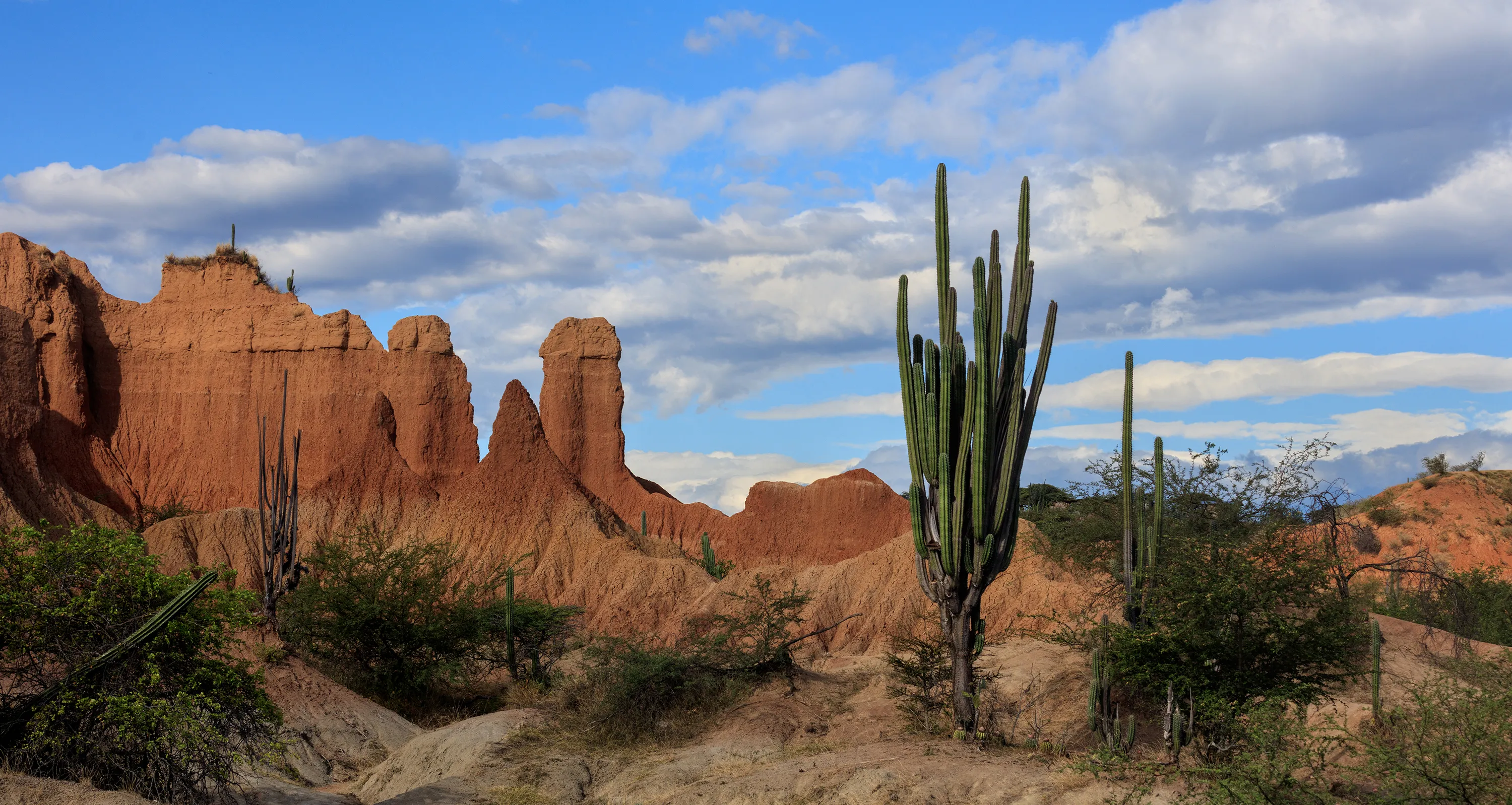 Desert Scenery