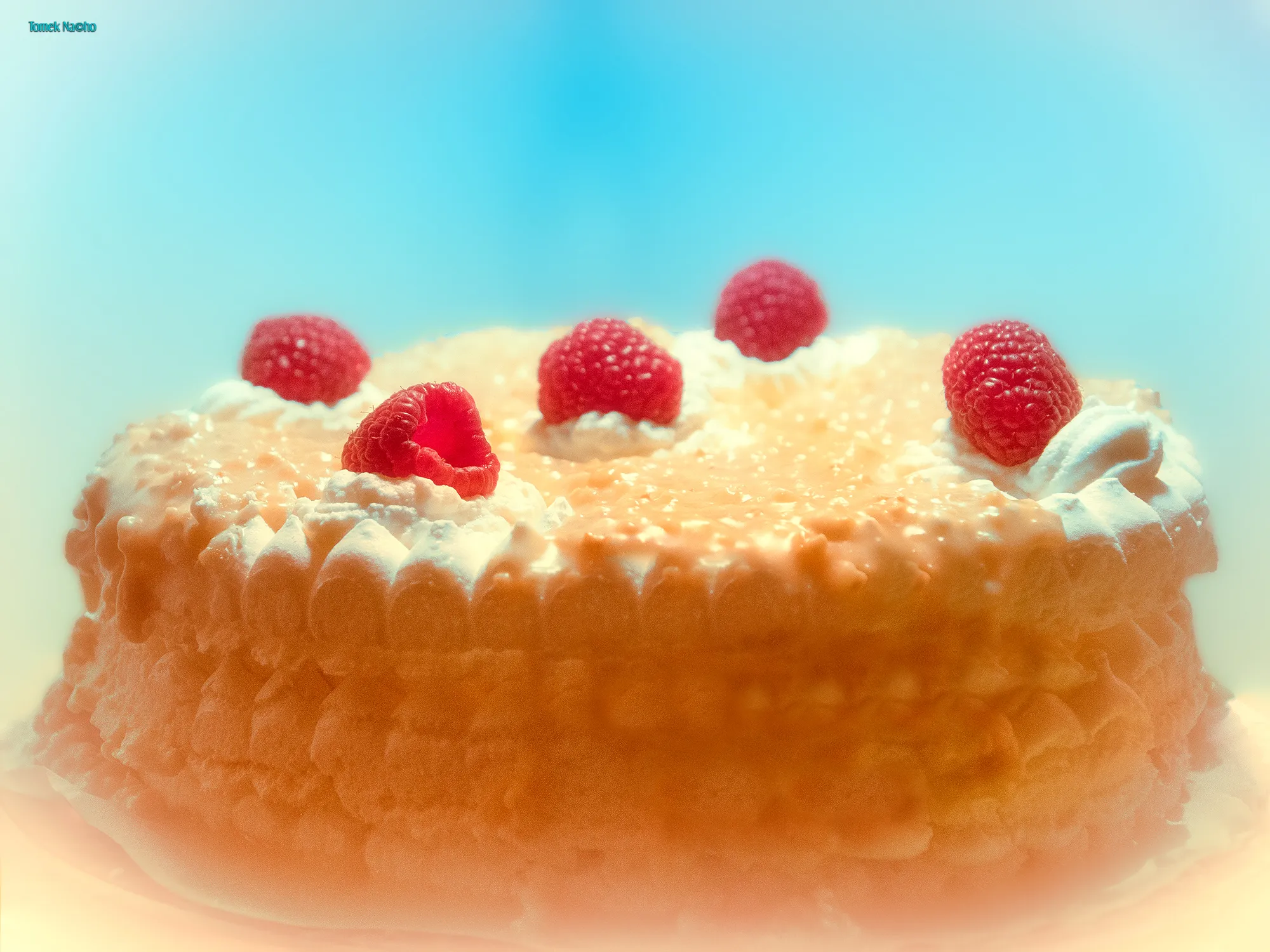 Home Made - Cakes, Sweets & Snacks (in colour)