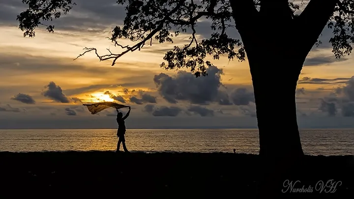 Captivating Silhouette