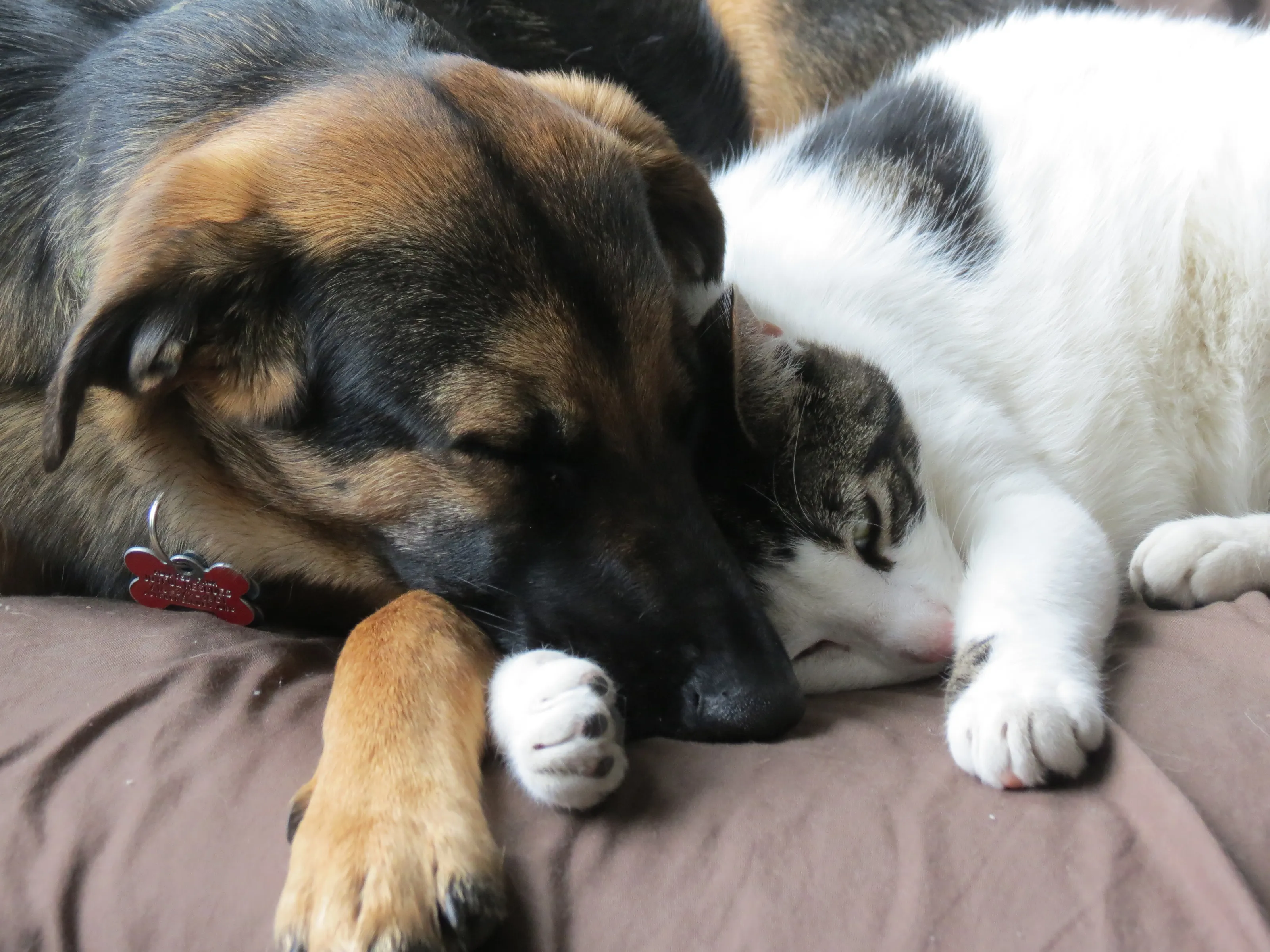 The Odd Couple