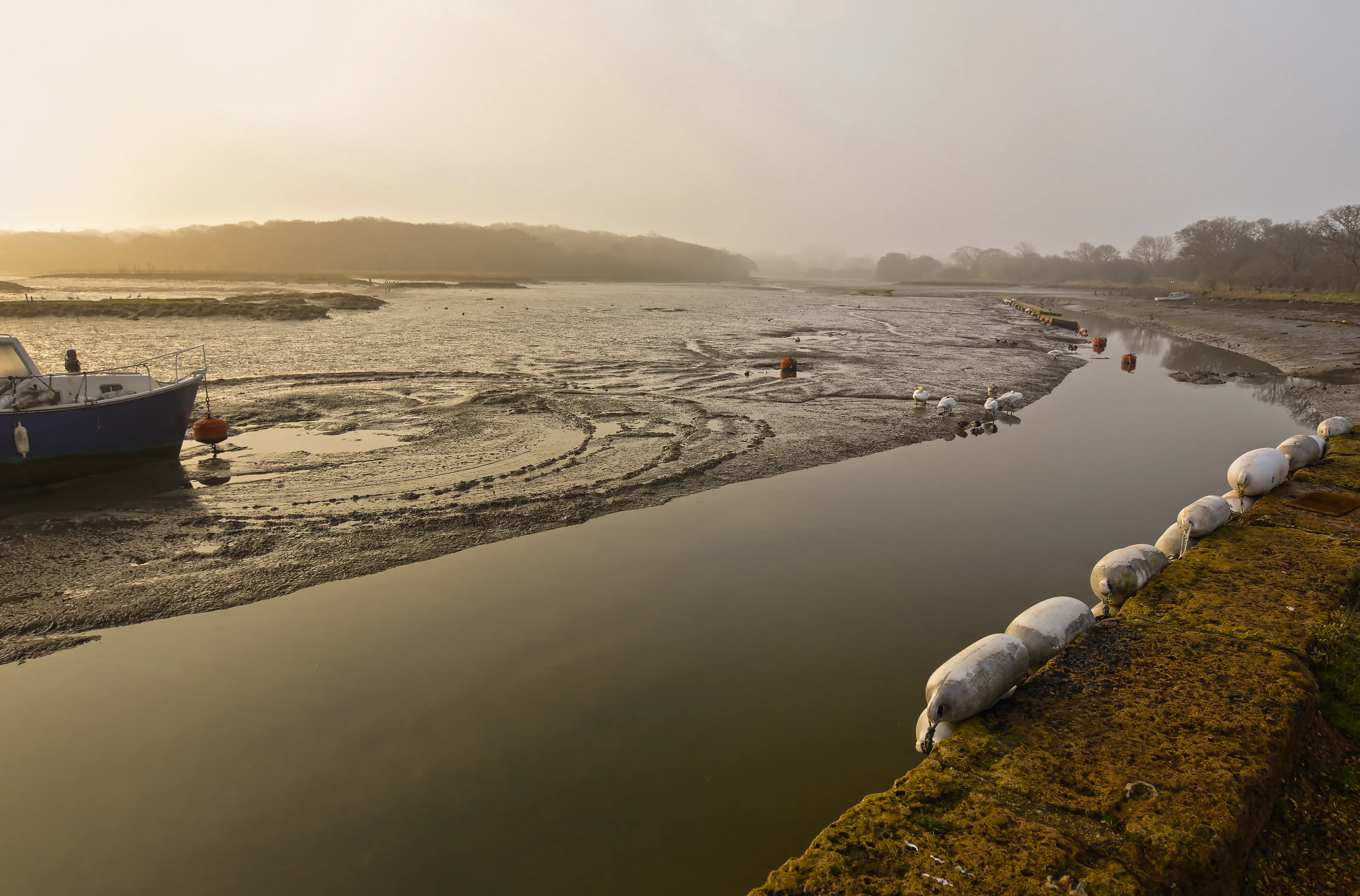 Low tide at the creek (tidal inlet)
