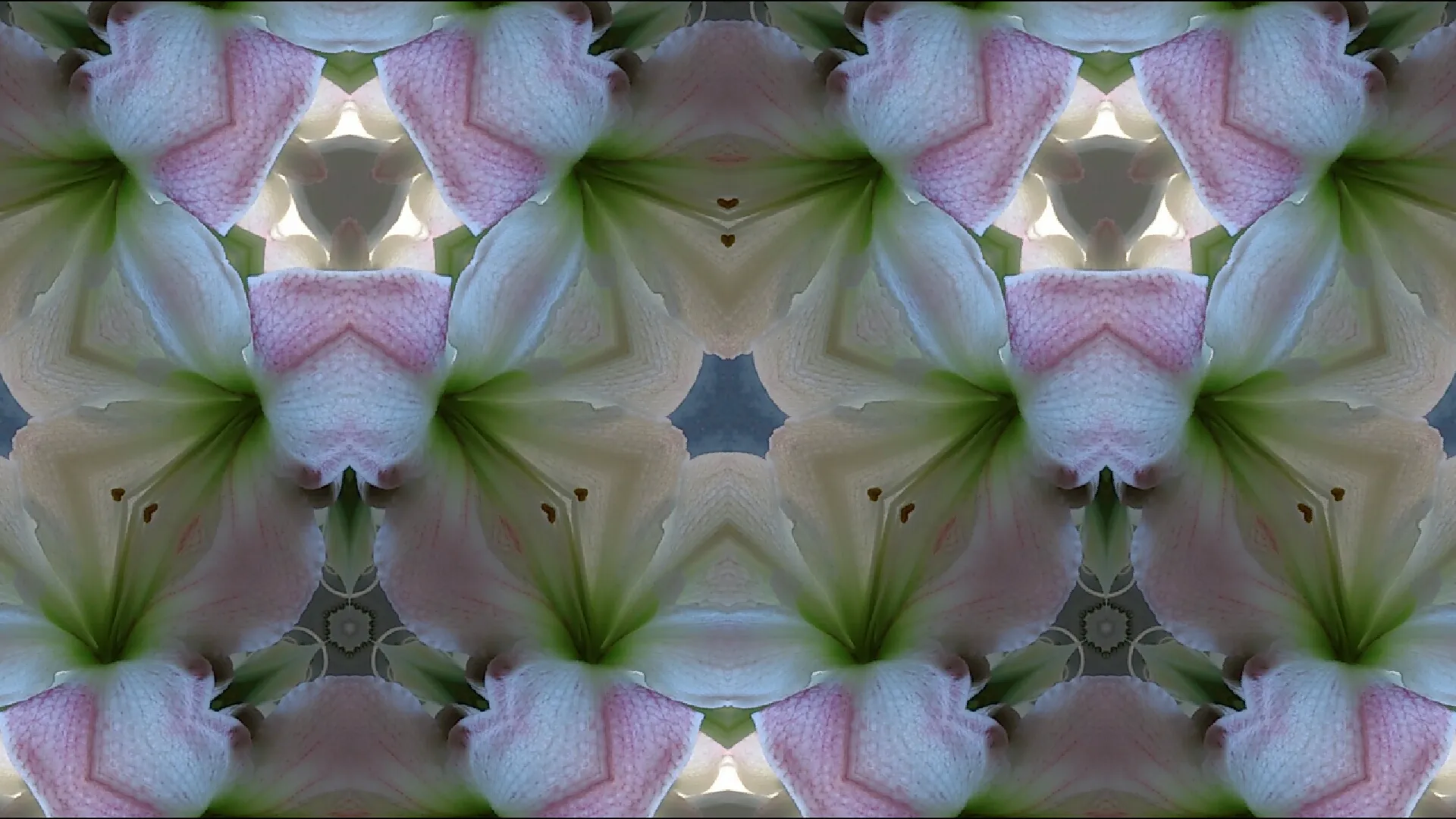 Kaleidoscopic images