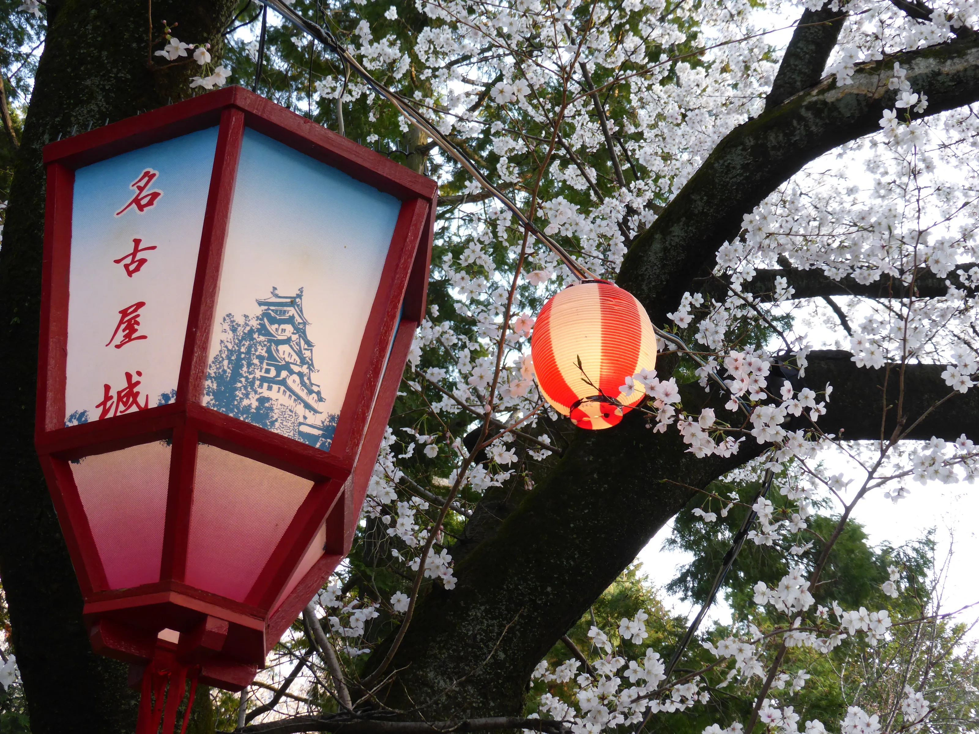 Secret Japan