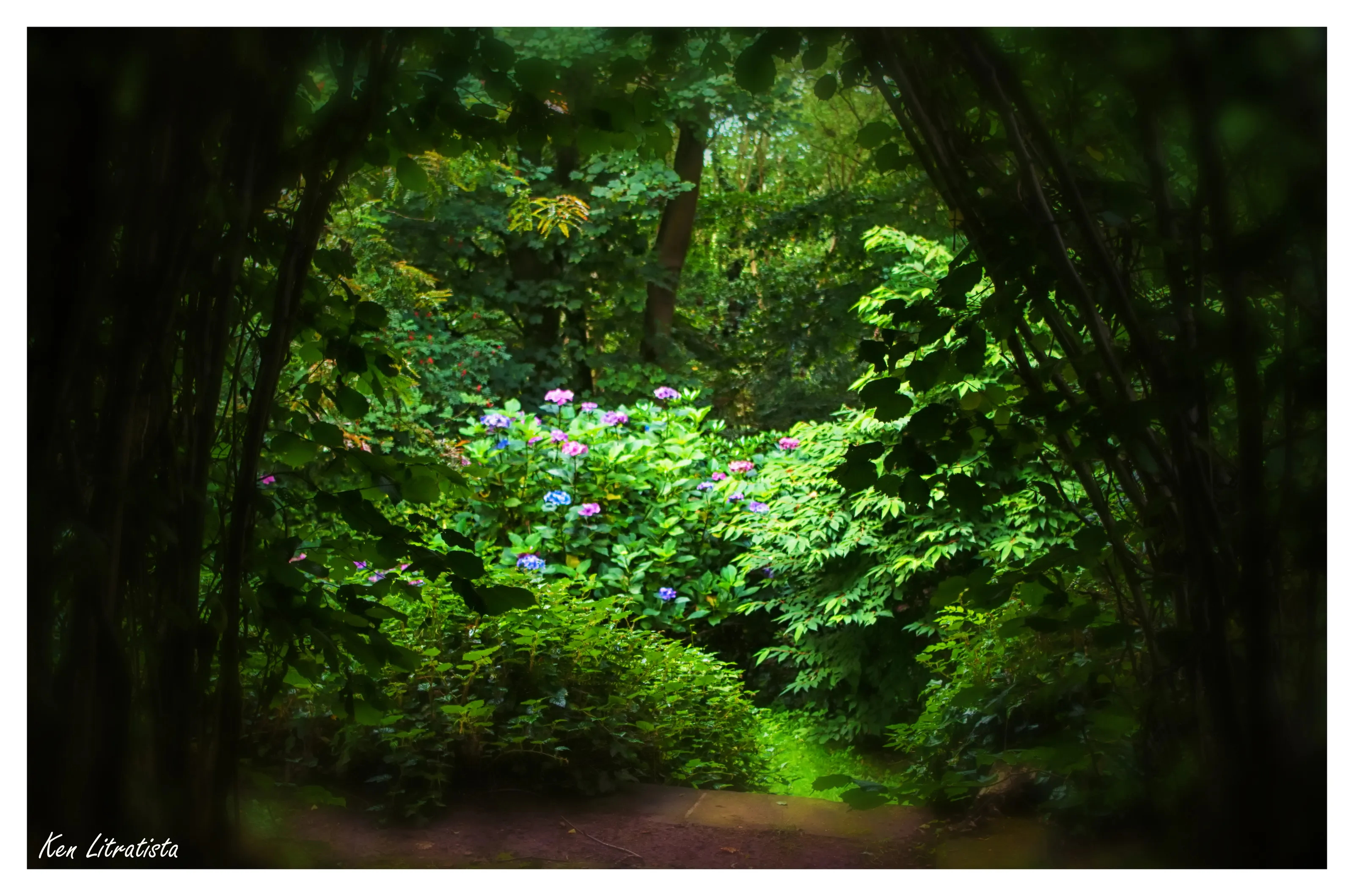Secret Garden - in colour
