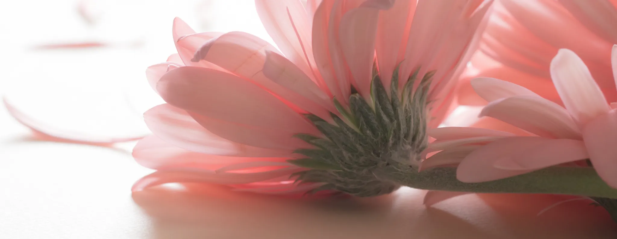 Pastel tones