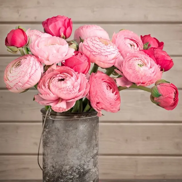 Still Life with Flowers