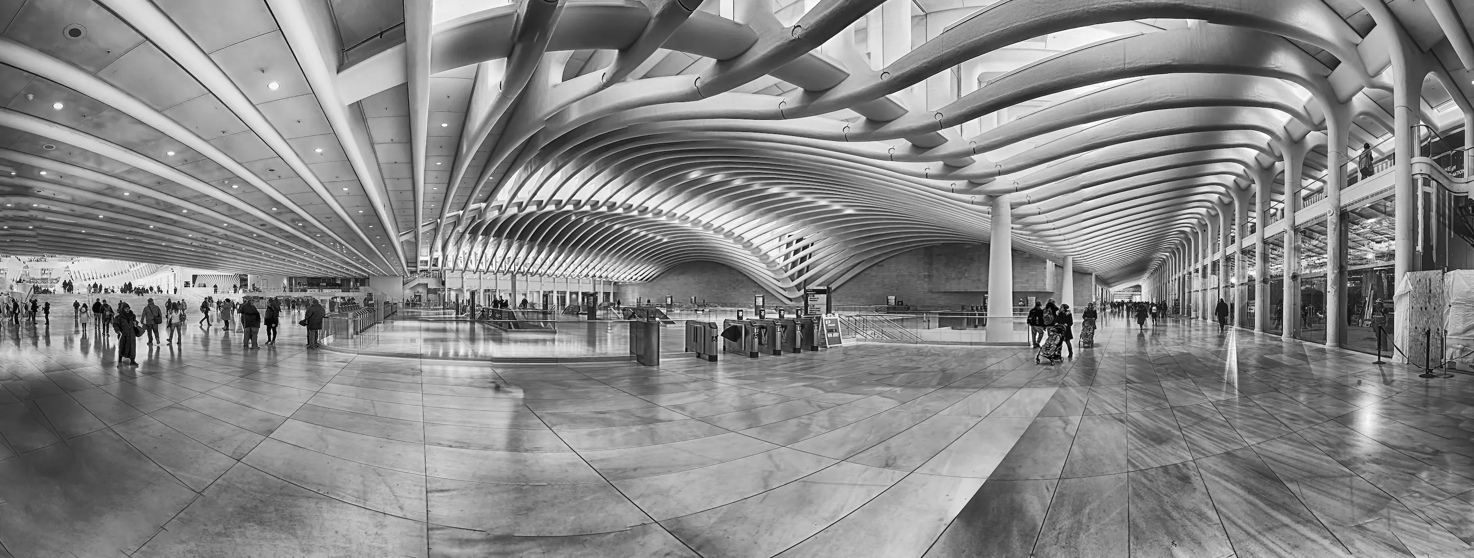 Wide angle view
