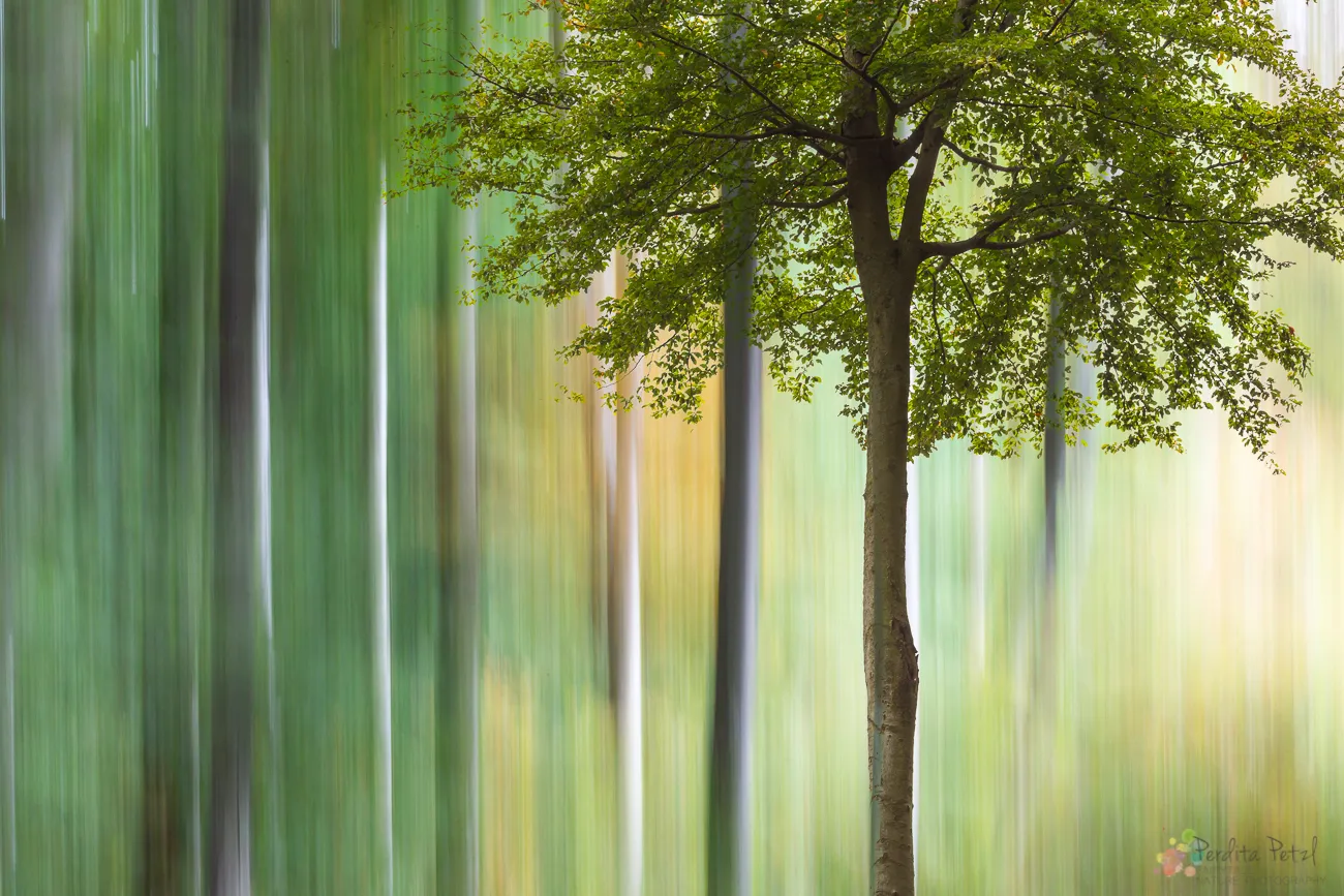 Experimental nature photography