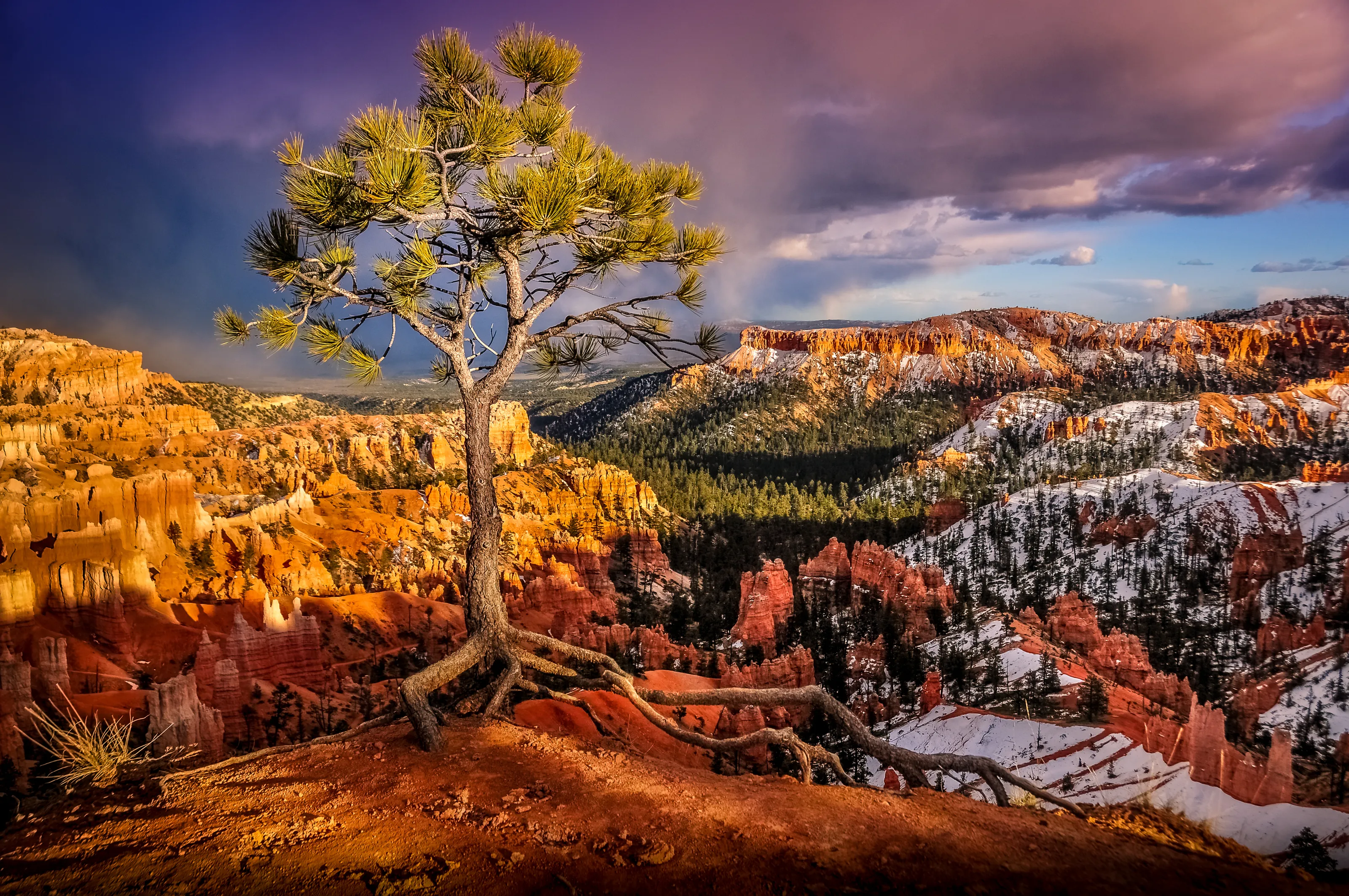 The American Southwest
