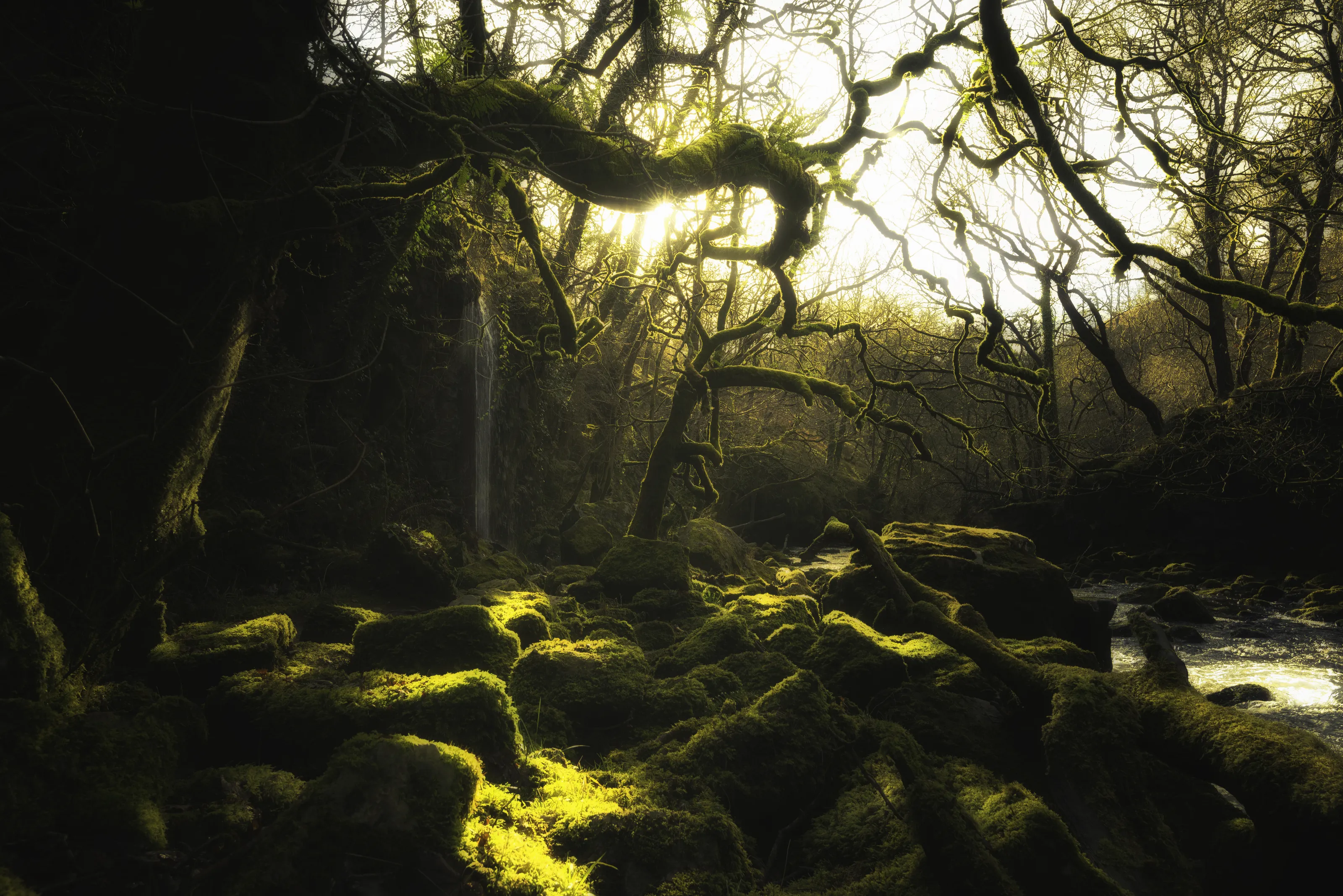 Magical/dreamy atmosphere