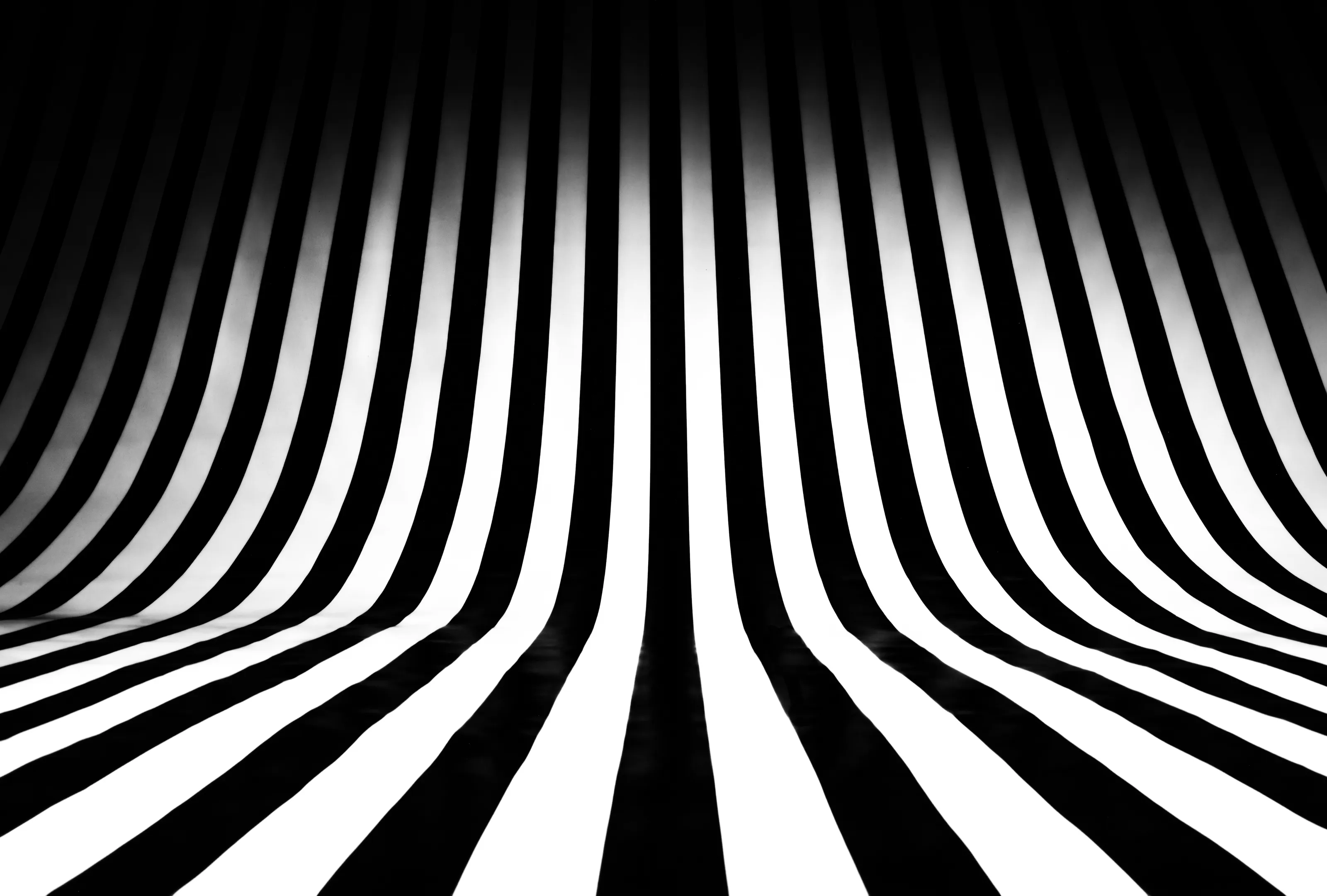 Extreme Contrast Black & White