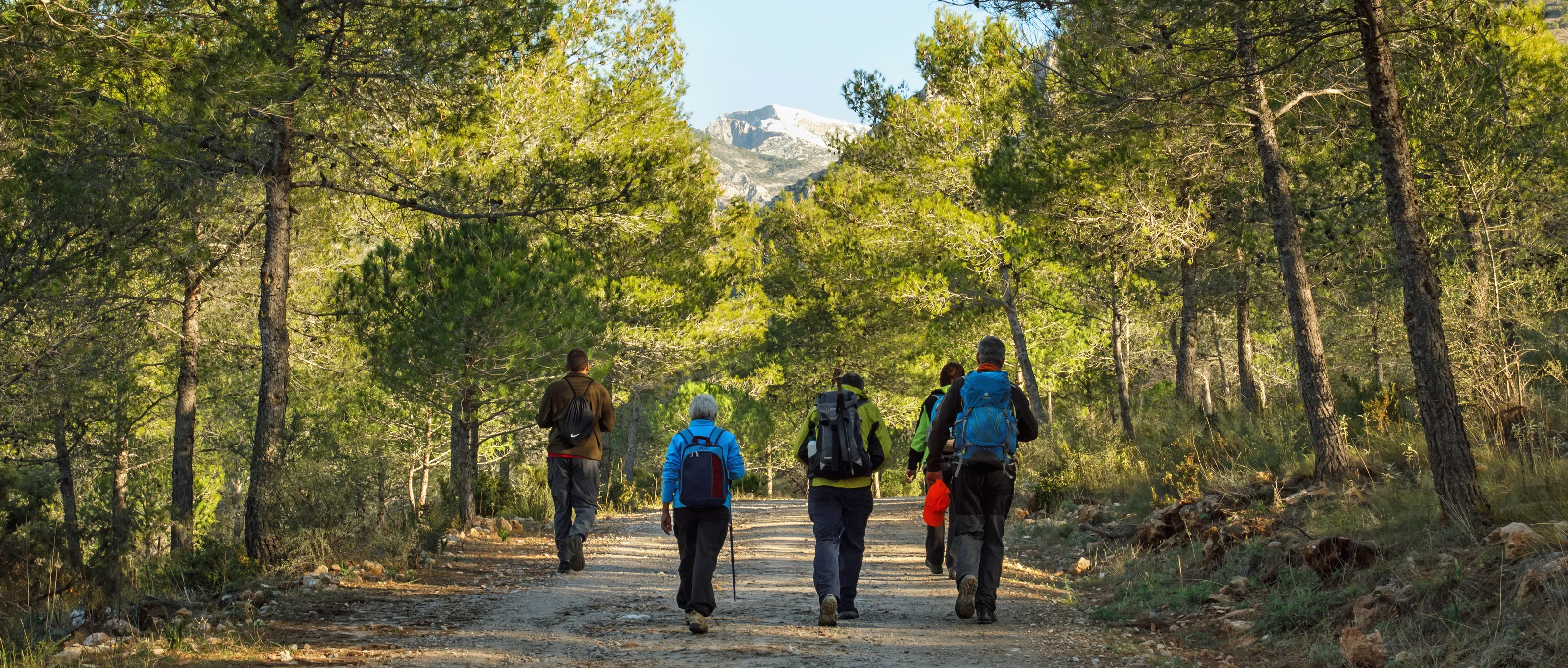 Hiking