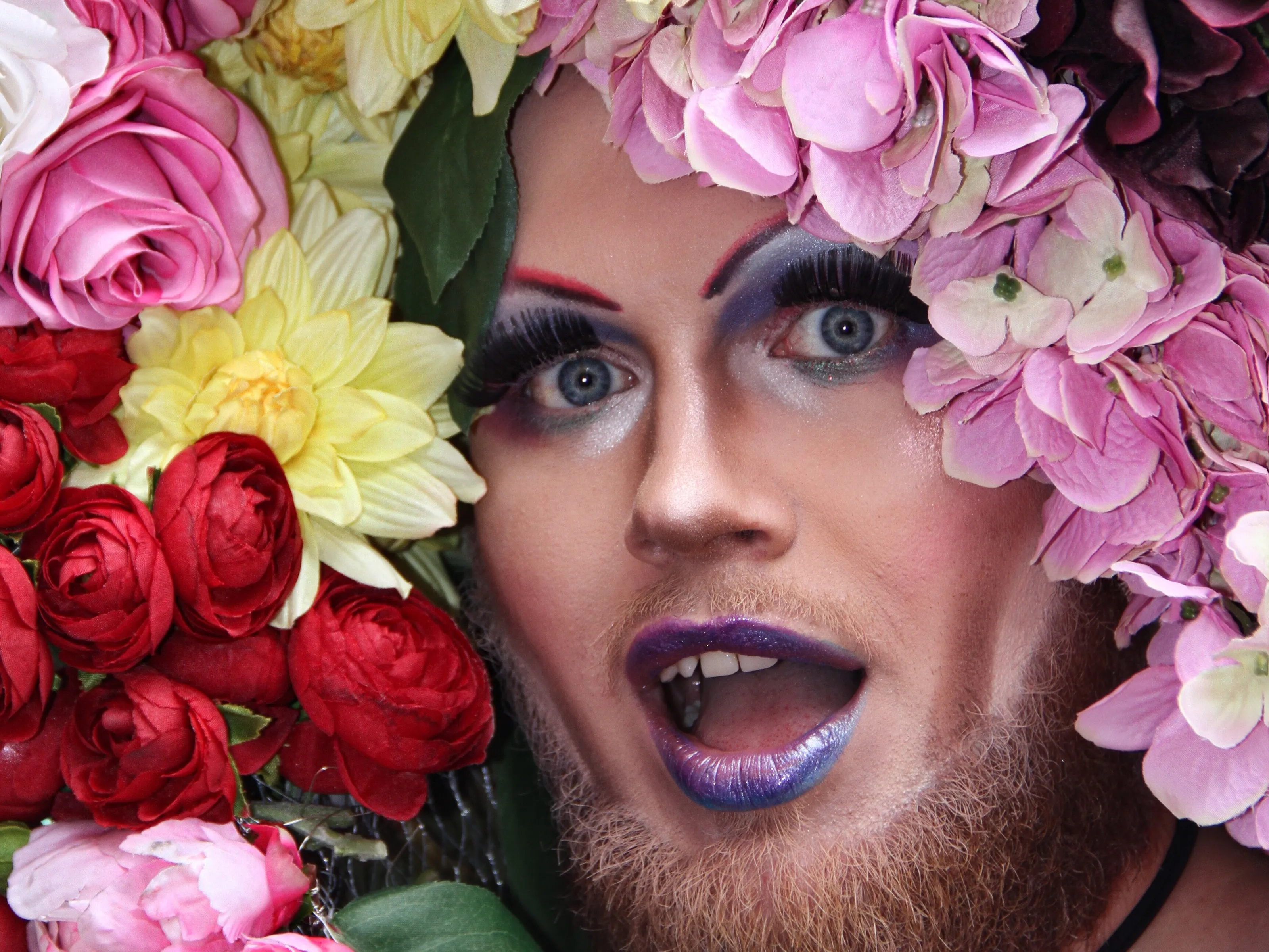Drag Queens