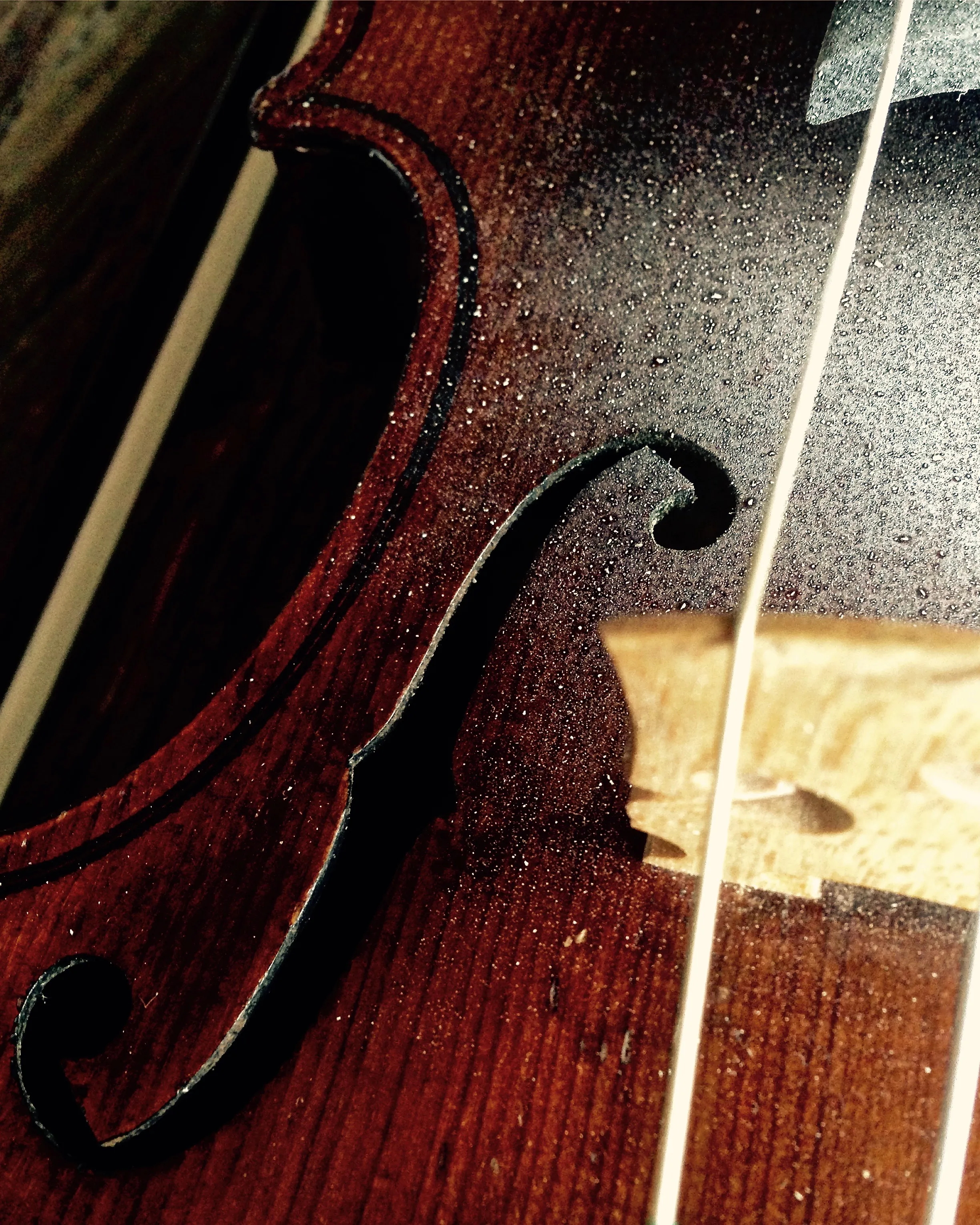 Music