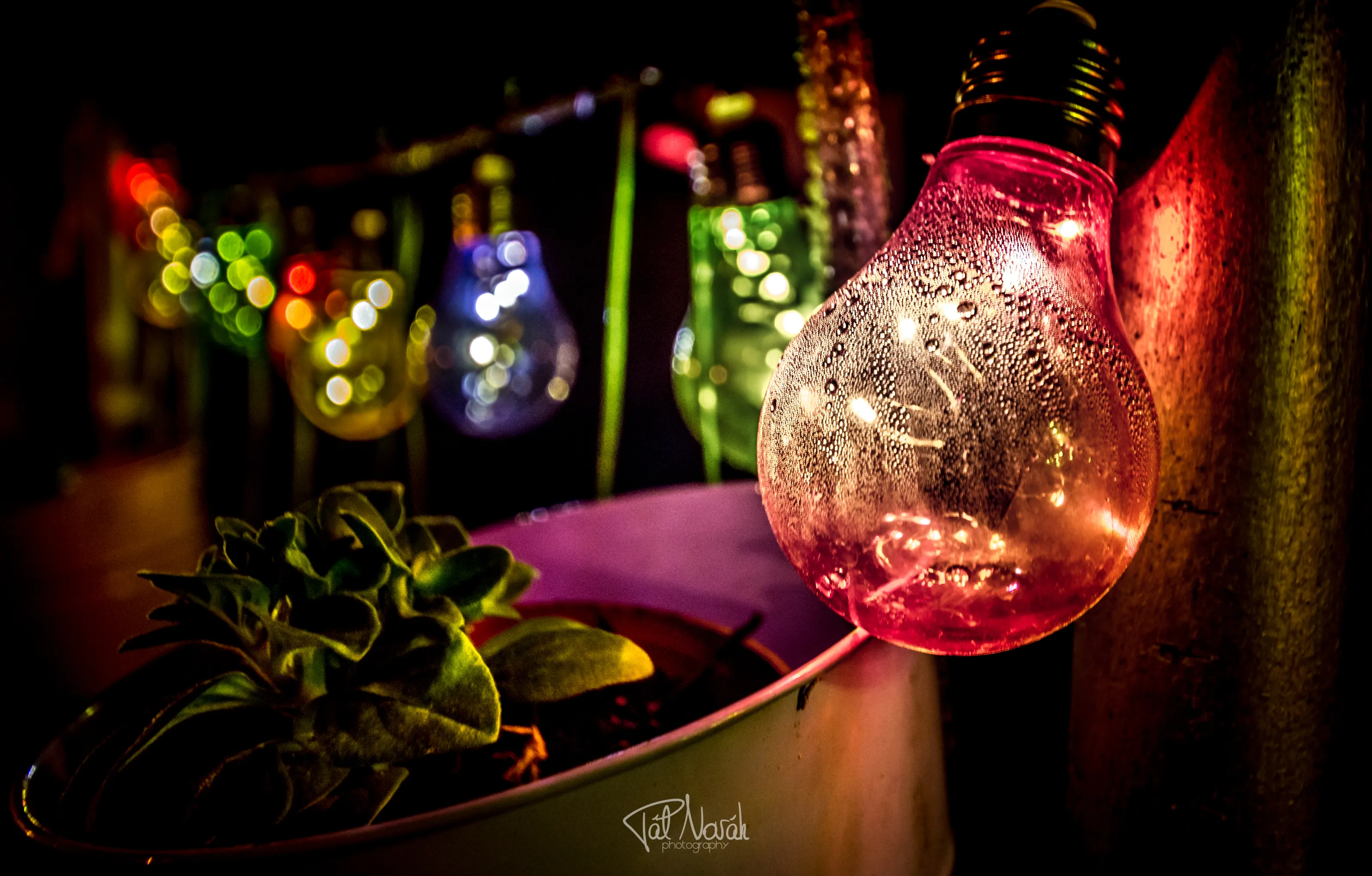 Colourful lights and bokeh
