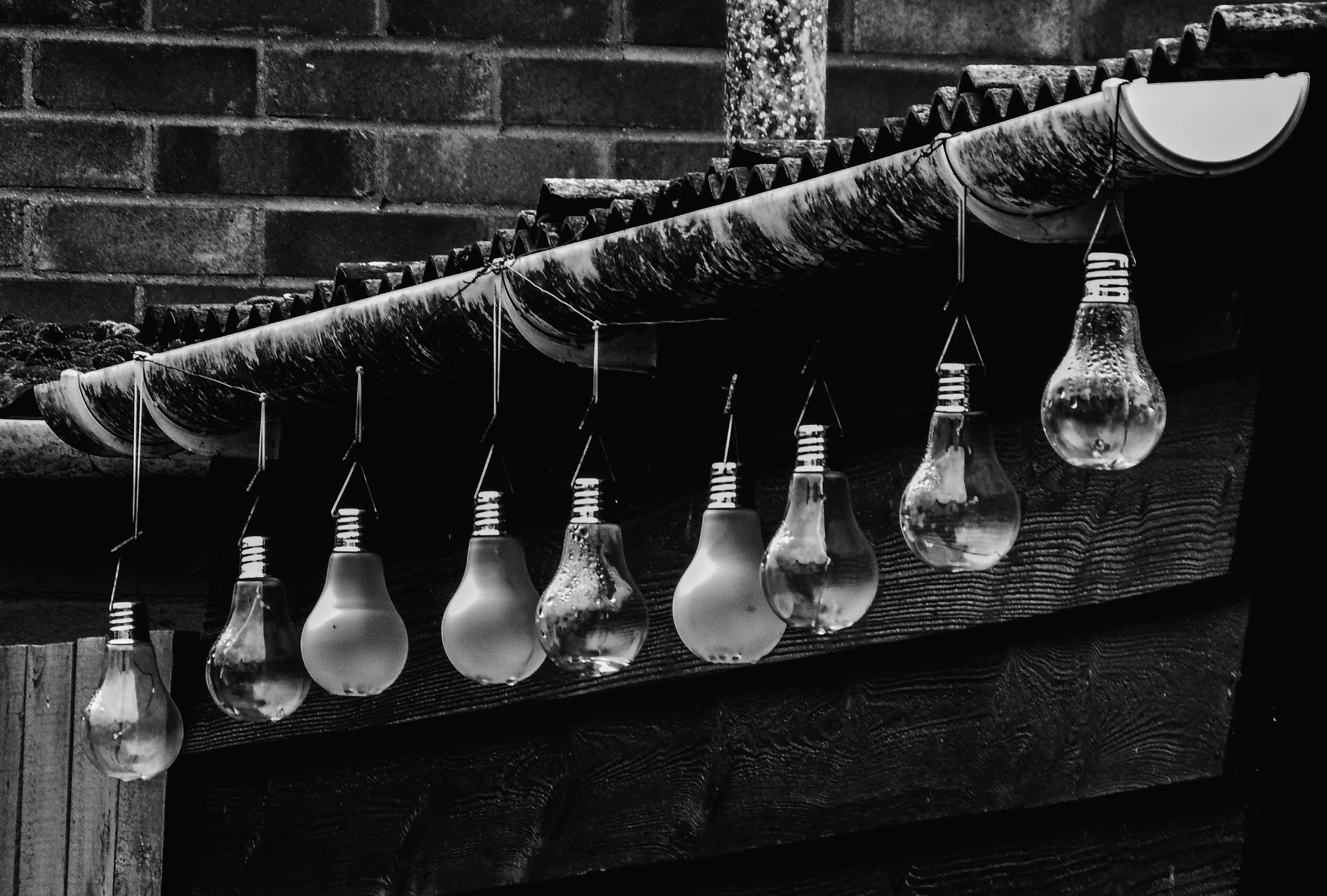 Light-Bulbs