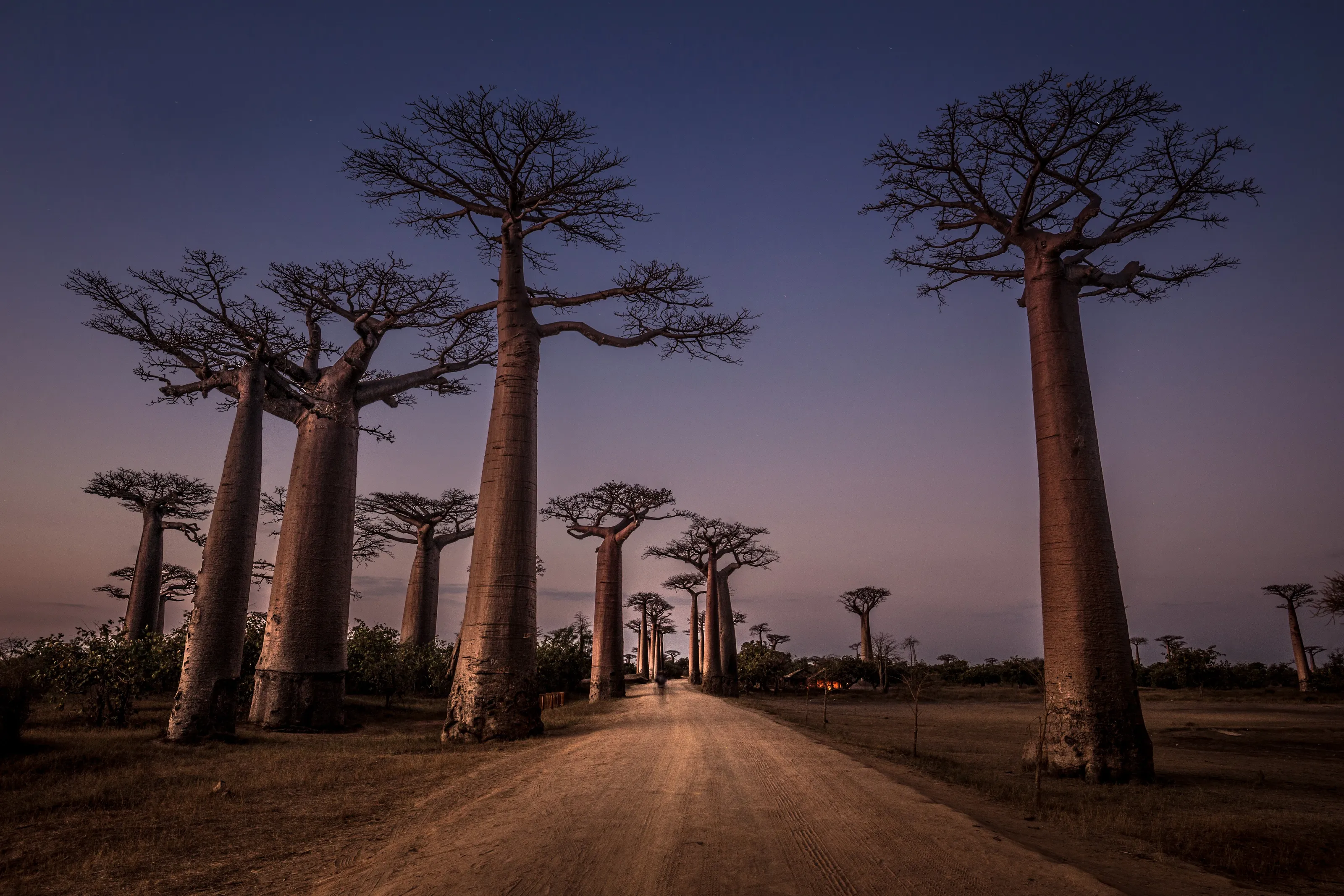 Africa