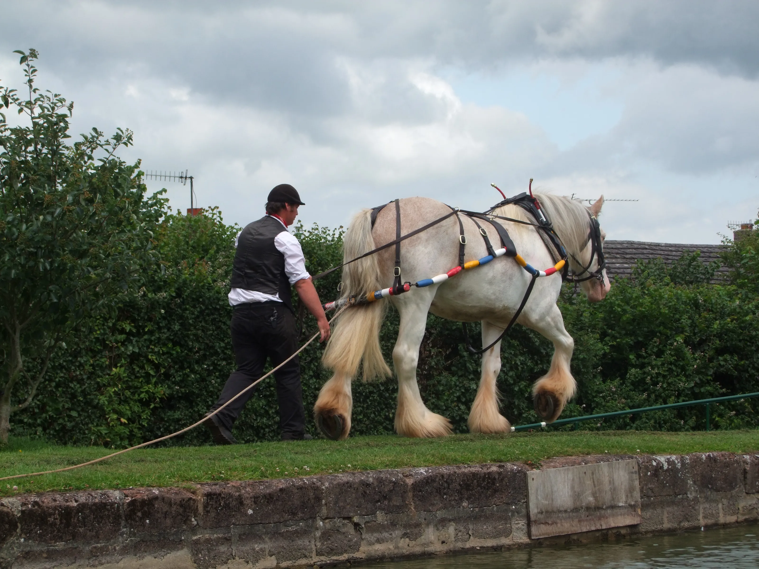 Working Horses