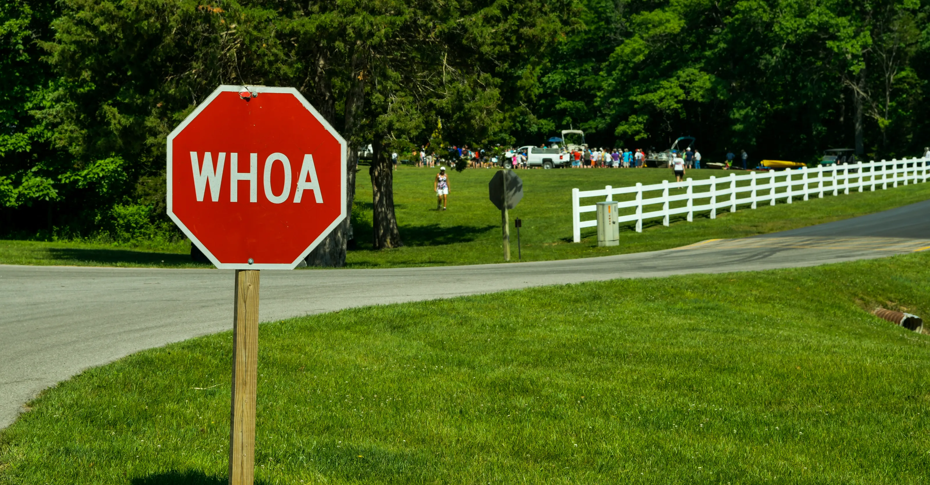 Unusual Street Signs