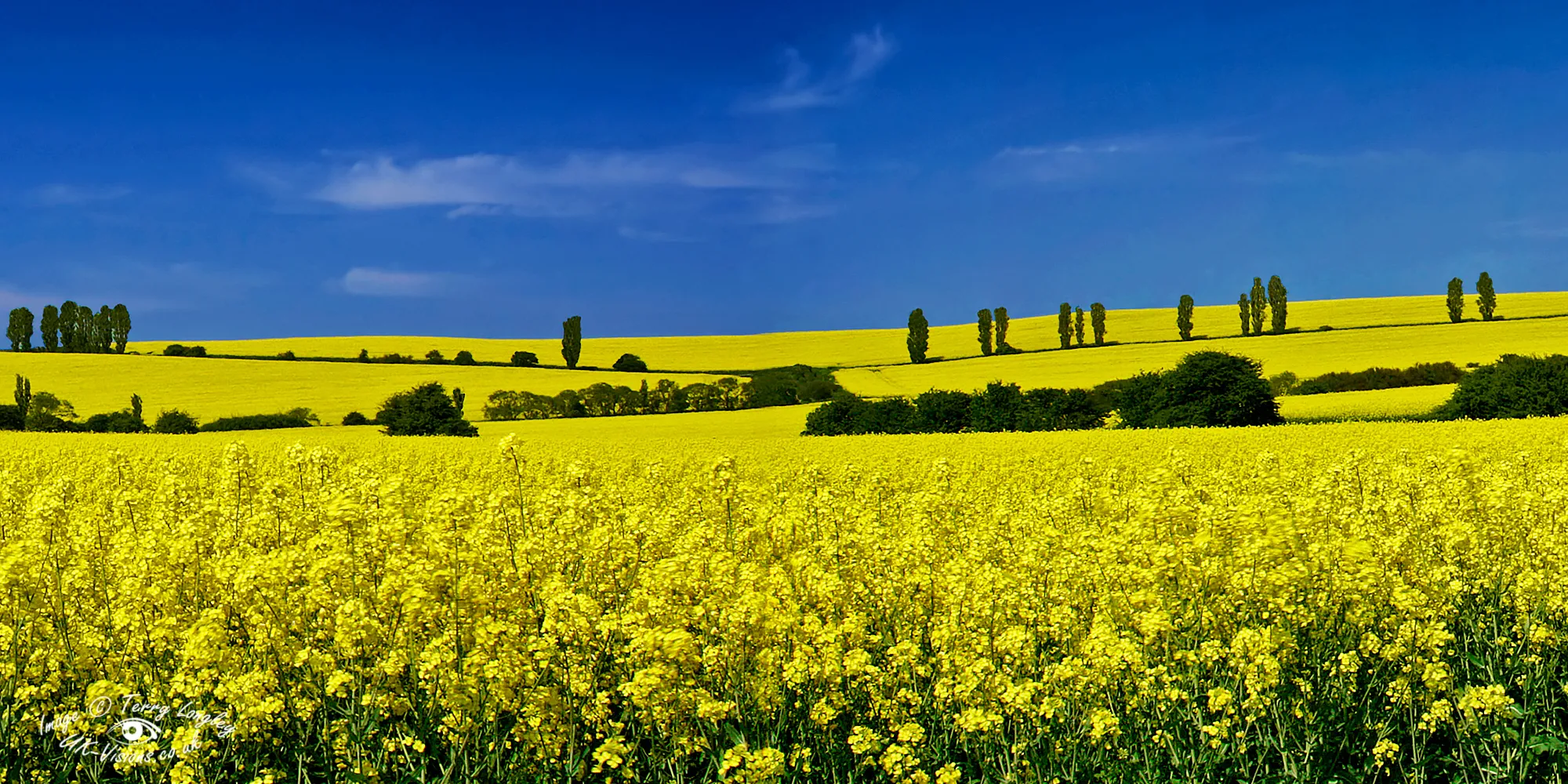 Landscapes in summer