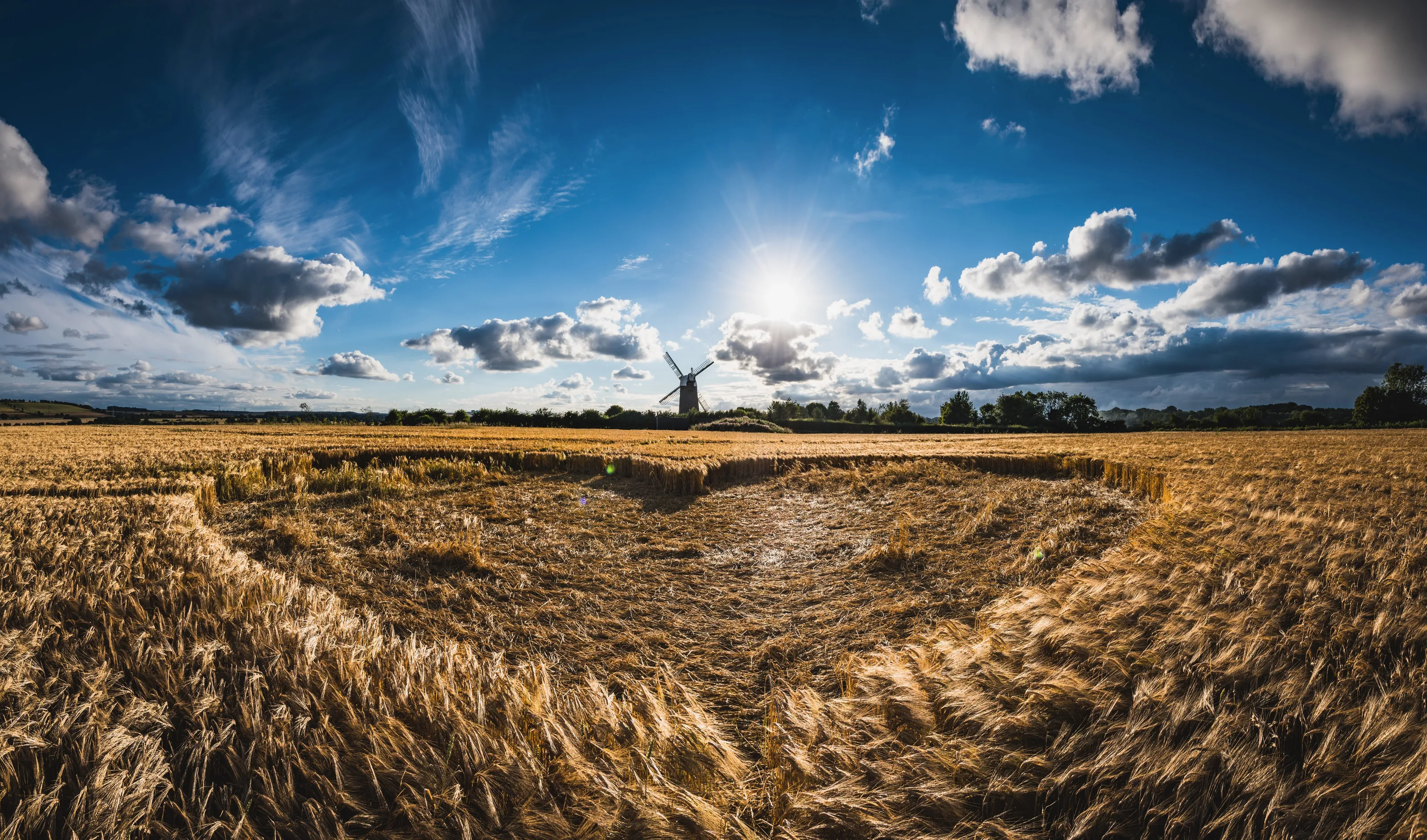 Landscapes in summer
