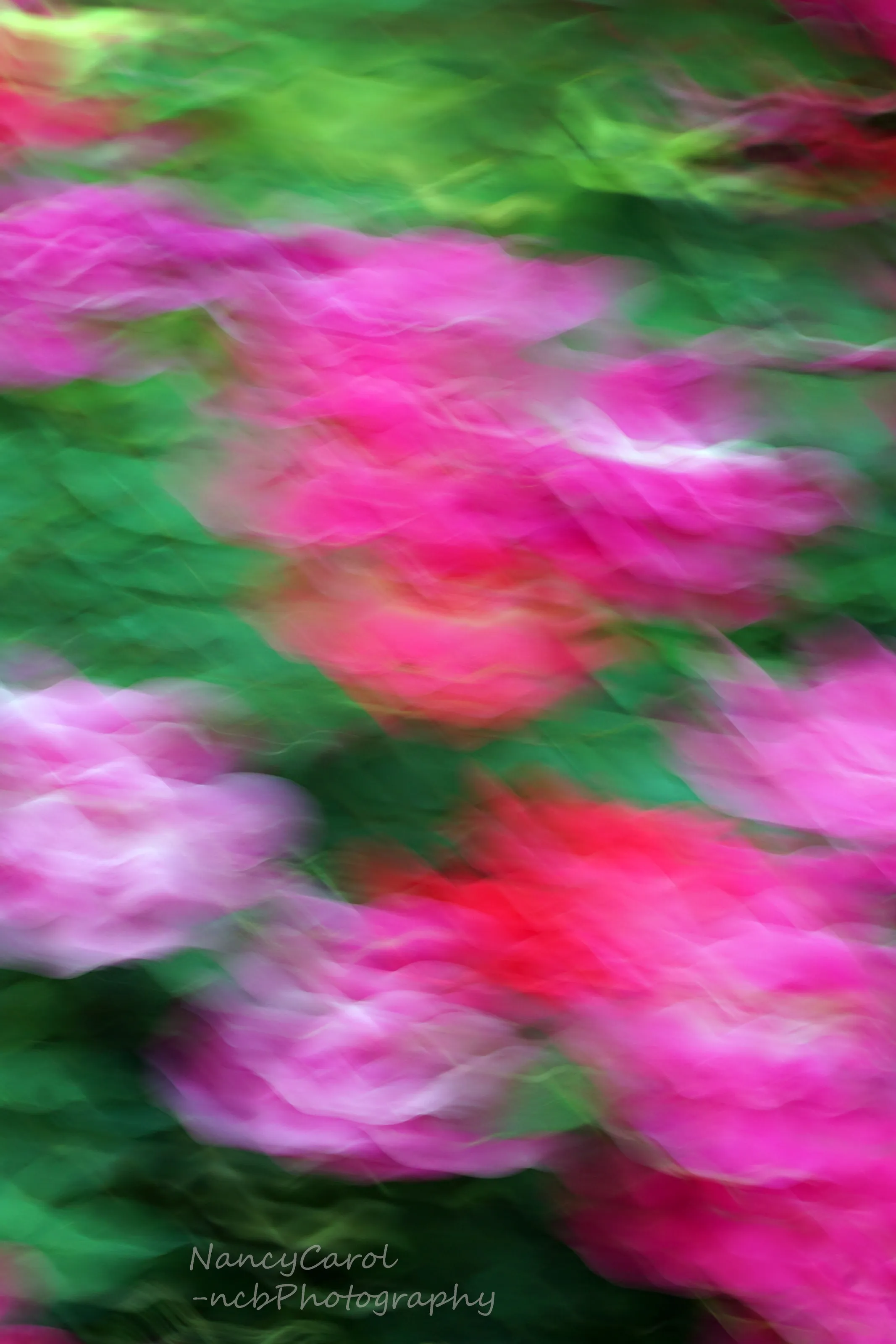 Intentional Camera Movement - flowers and plants