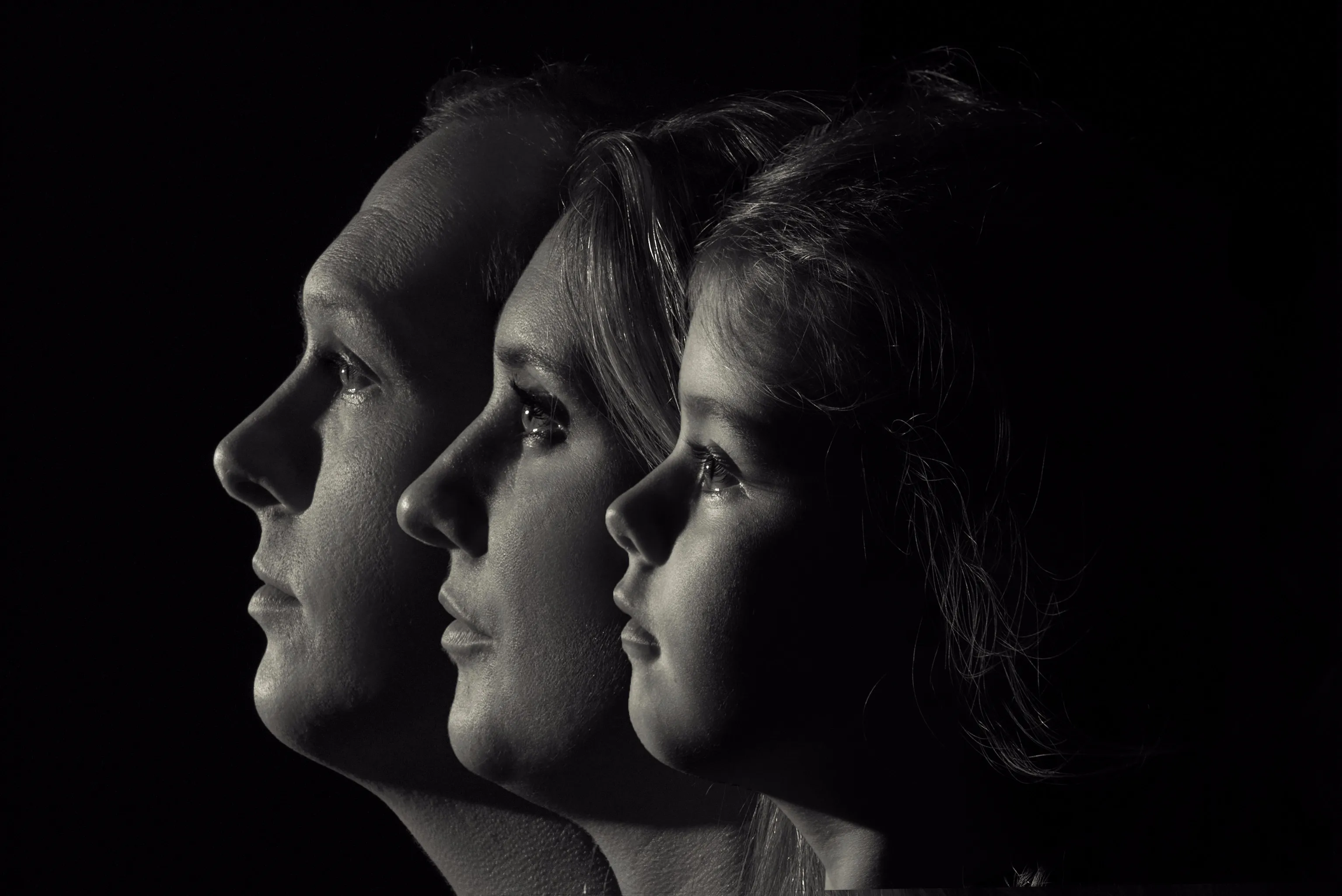 Side profile portraits