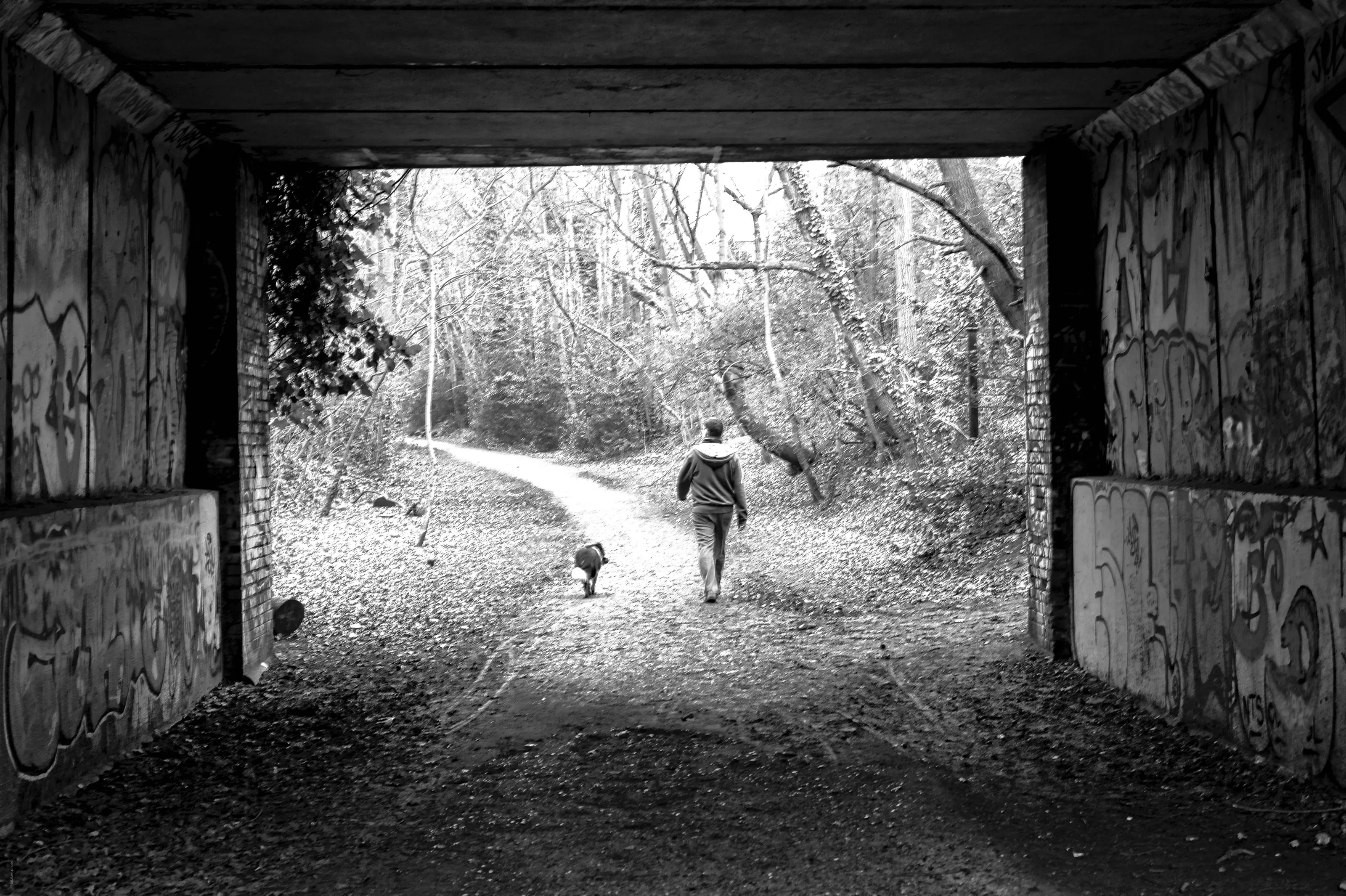 Underneath the Bridge