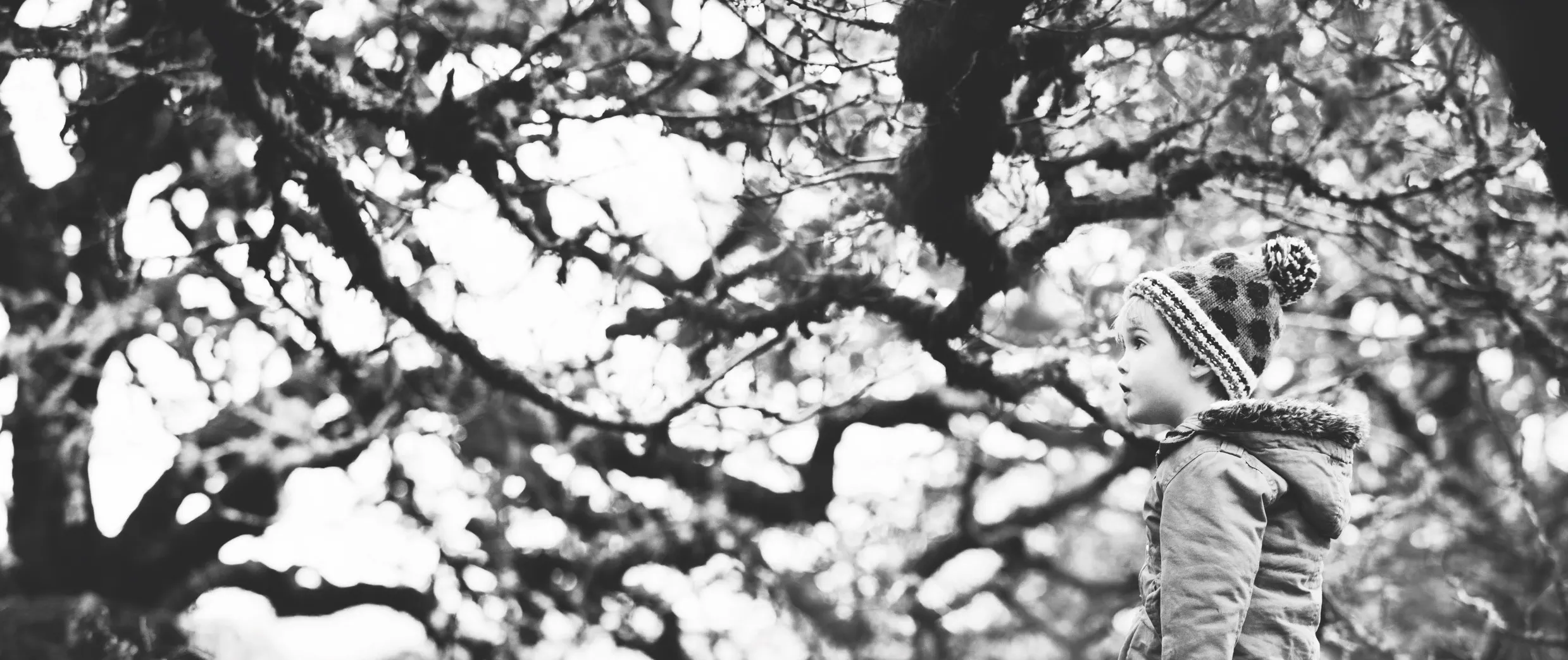 Black and White - 25 and under