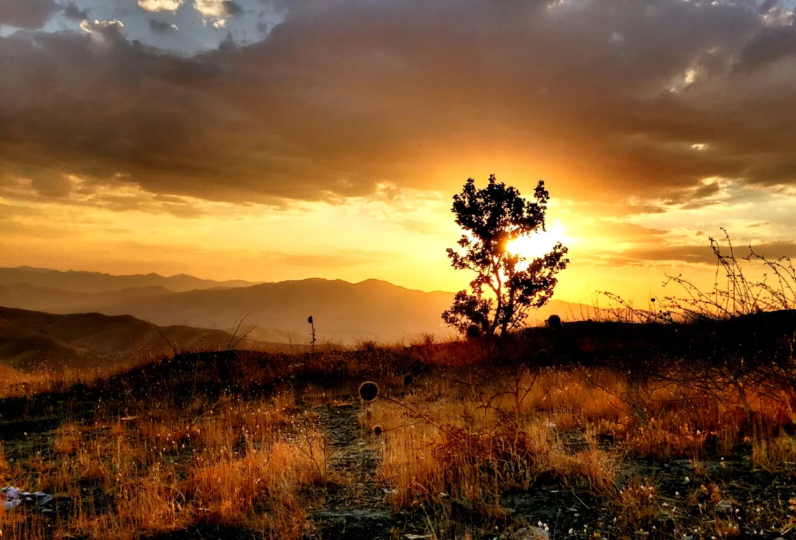 Beautiful Sunset