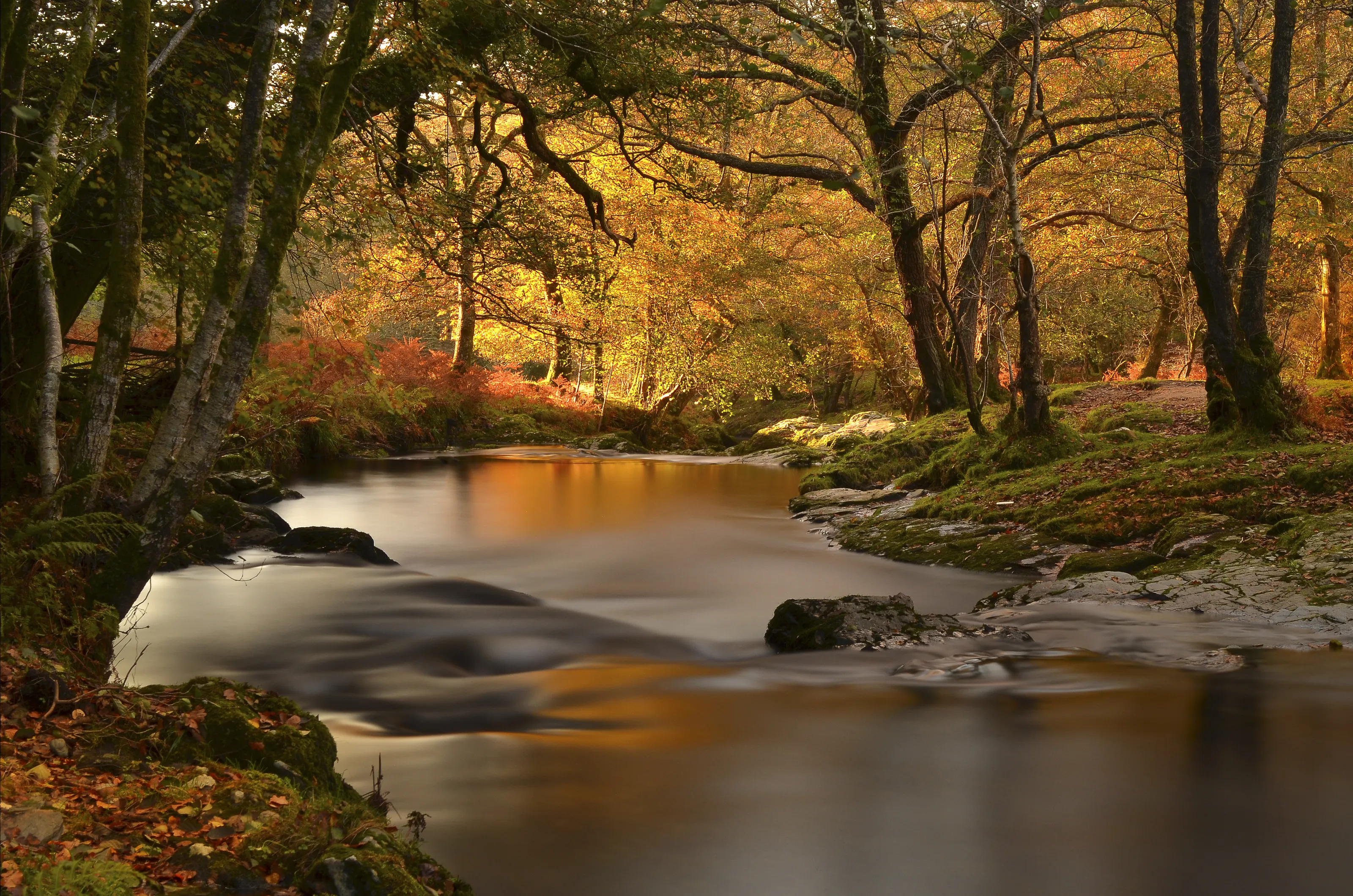 Serene Rivers
