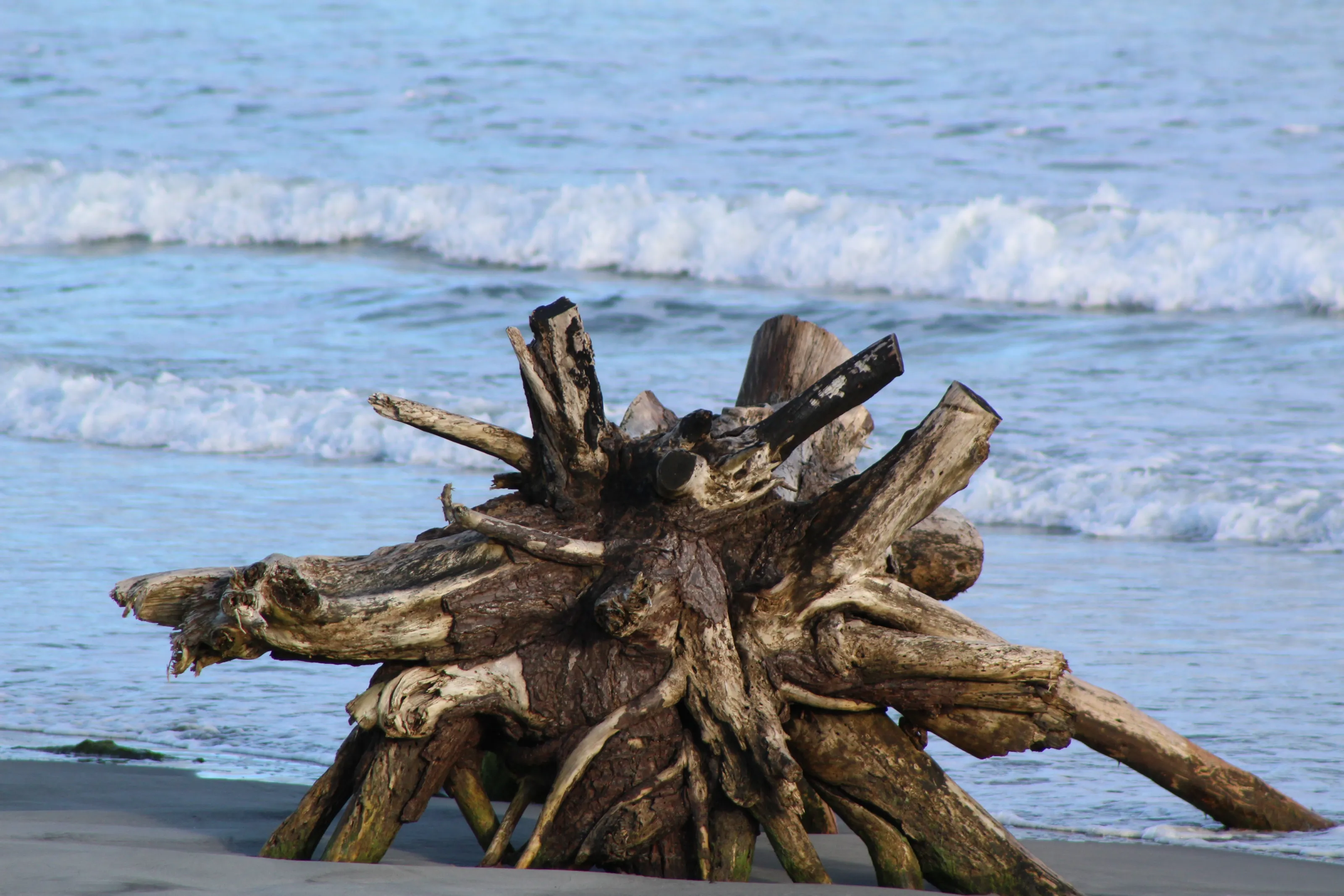 At the Beach with a Twist