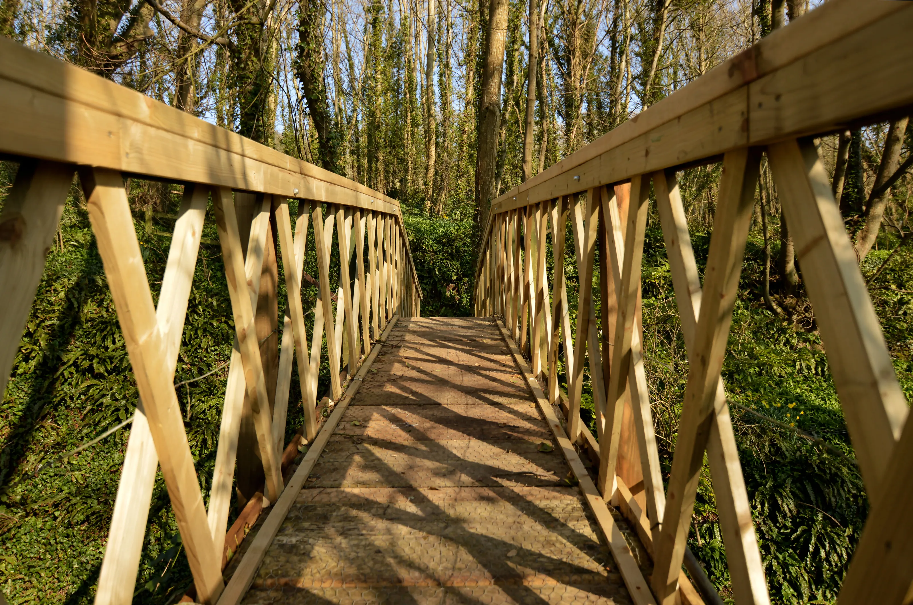 Footbridges in the Countryside.