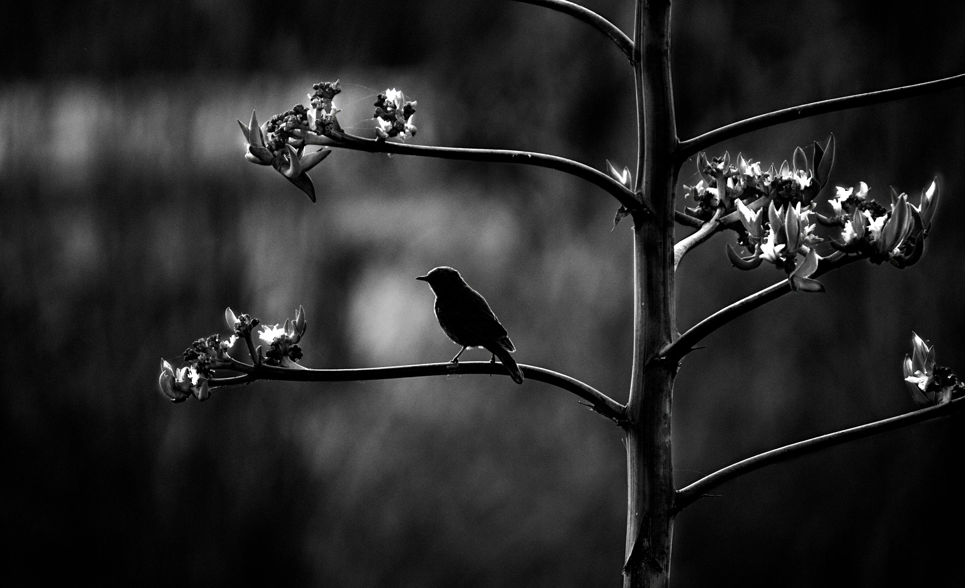 Monochromatic landscapes