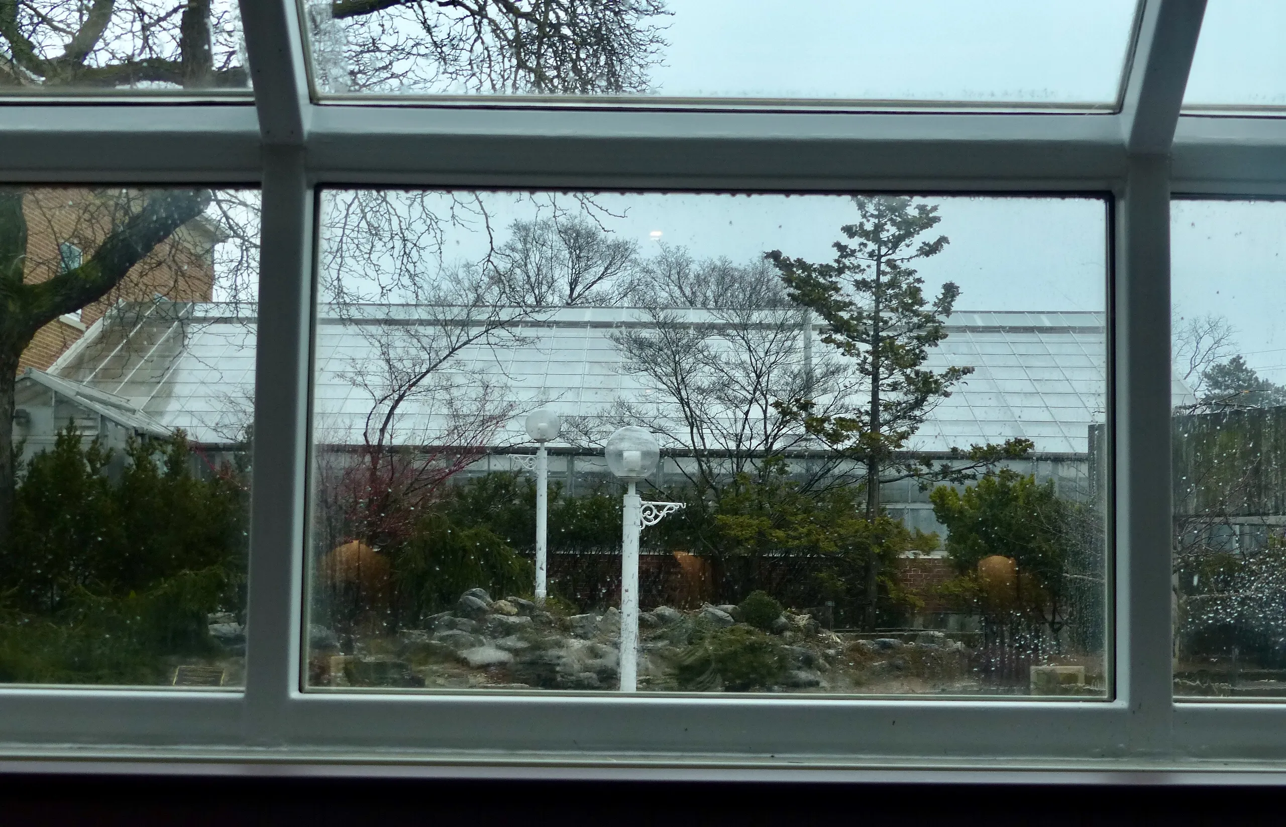 Through The Window